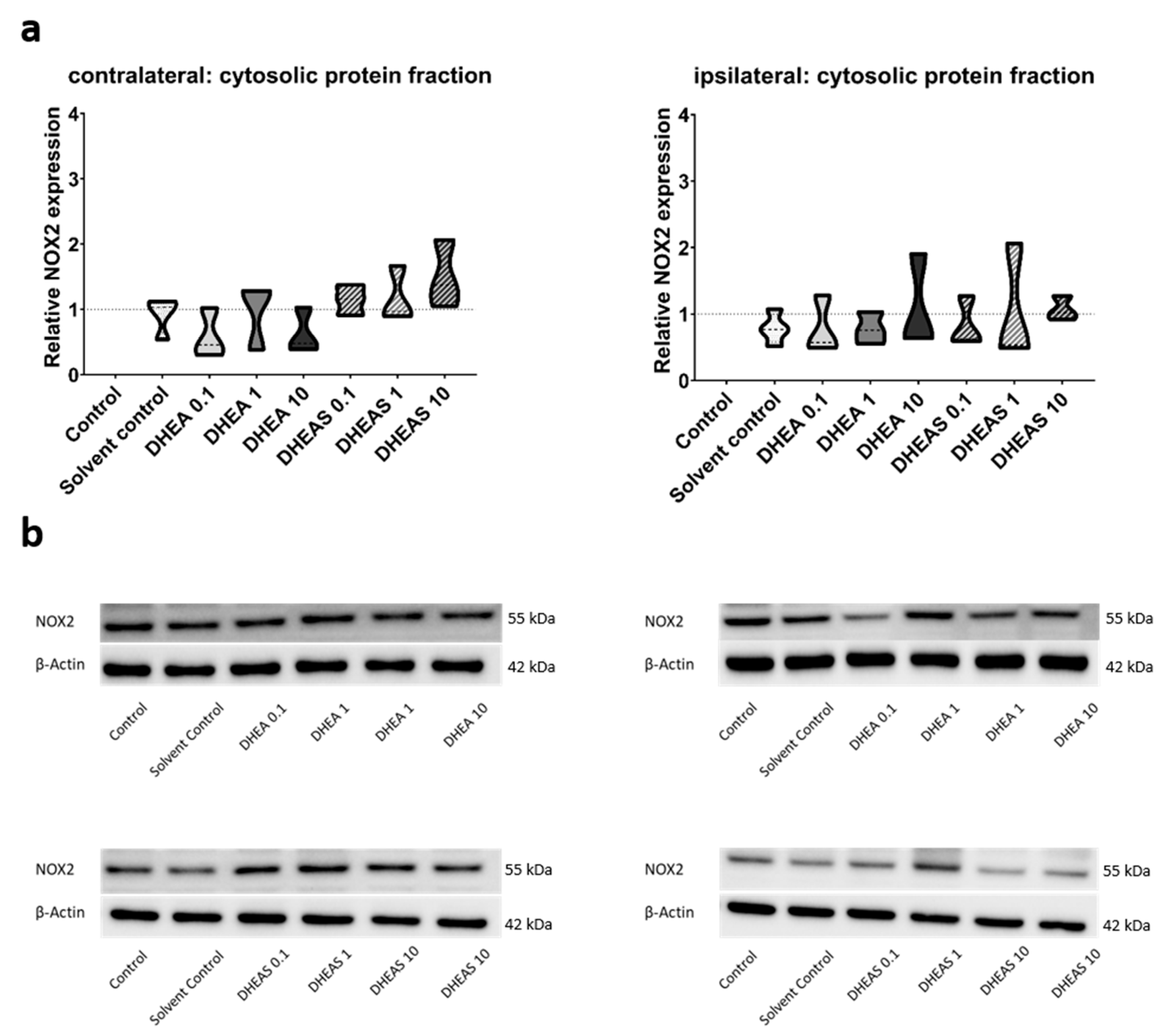 Antioxidants 13 01542 g008