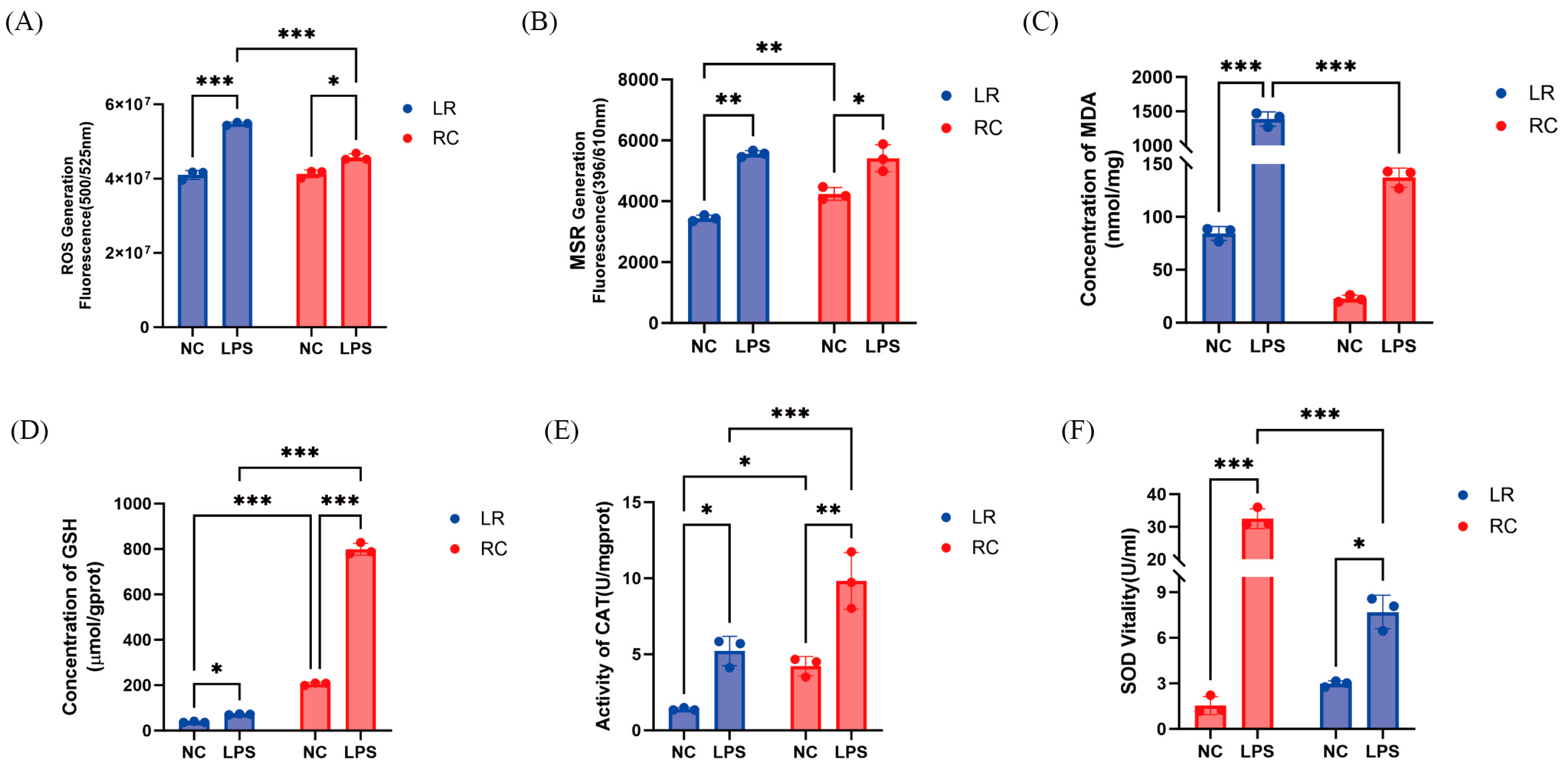 Antioxidants 13 01545 g003