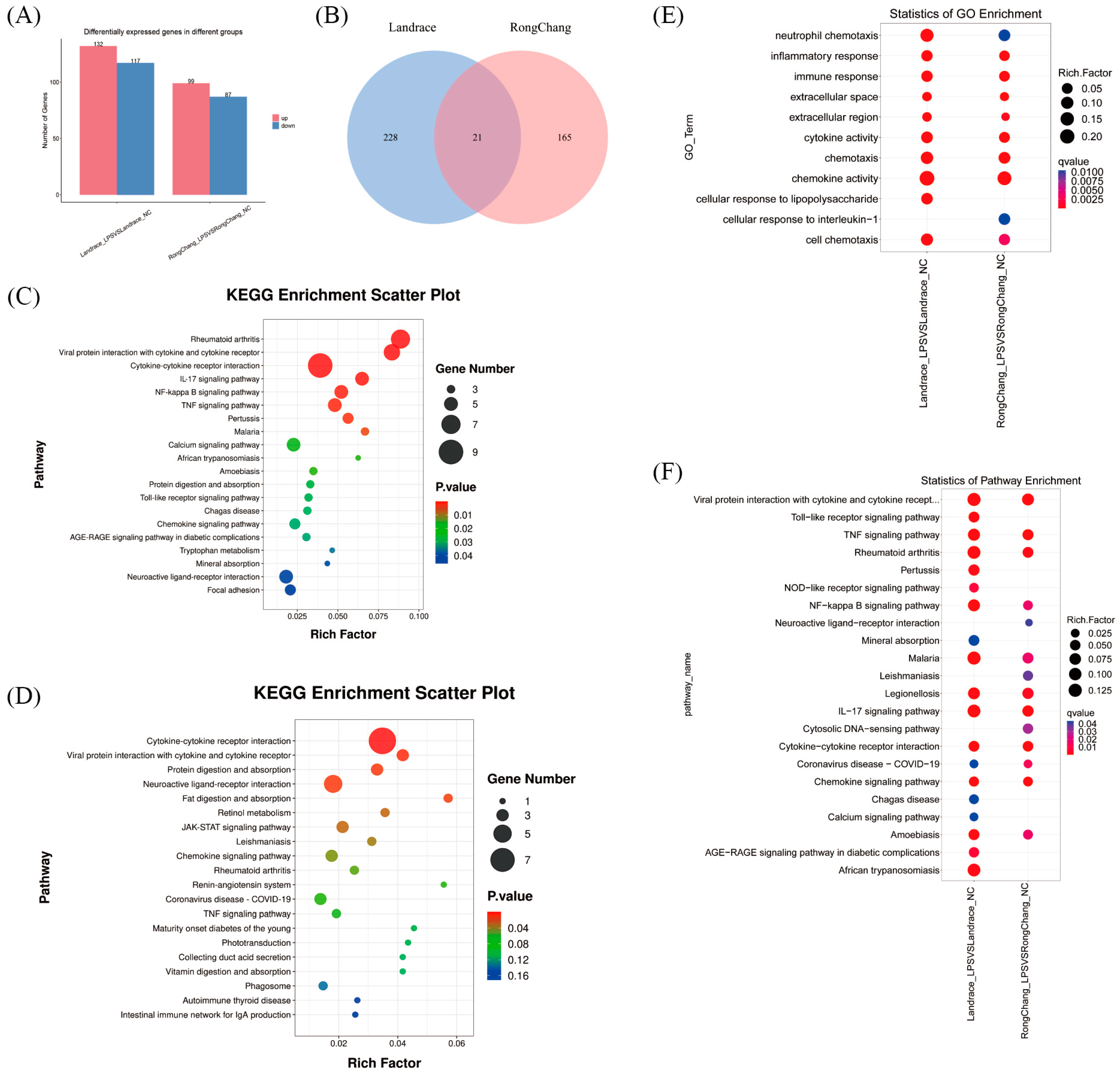 Antioxidants 13 01545 g006