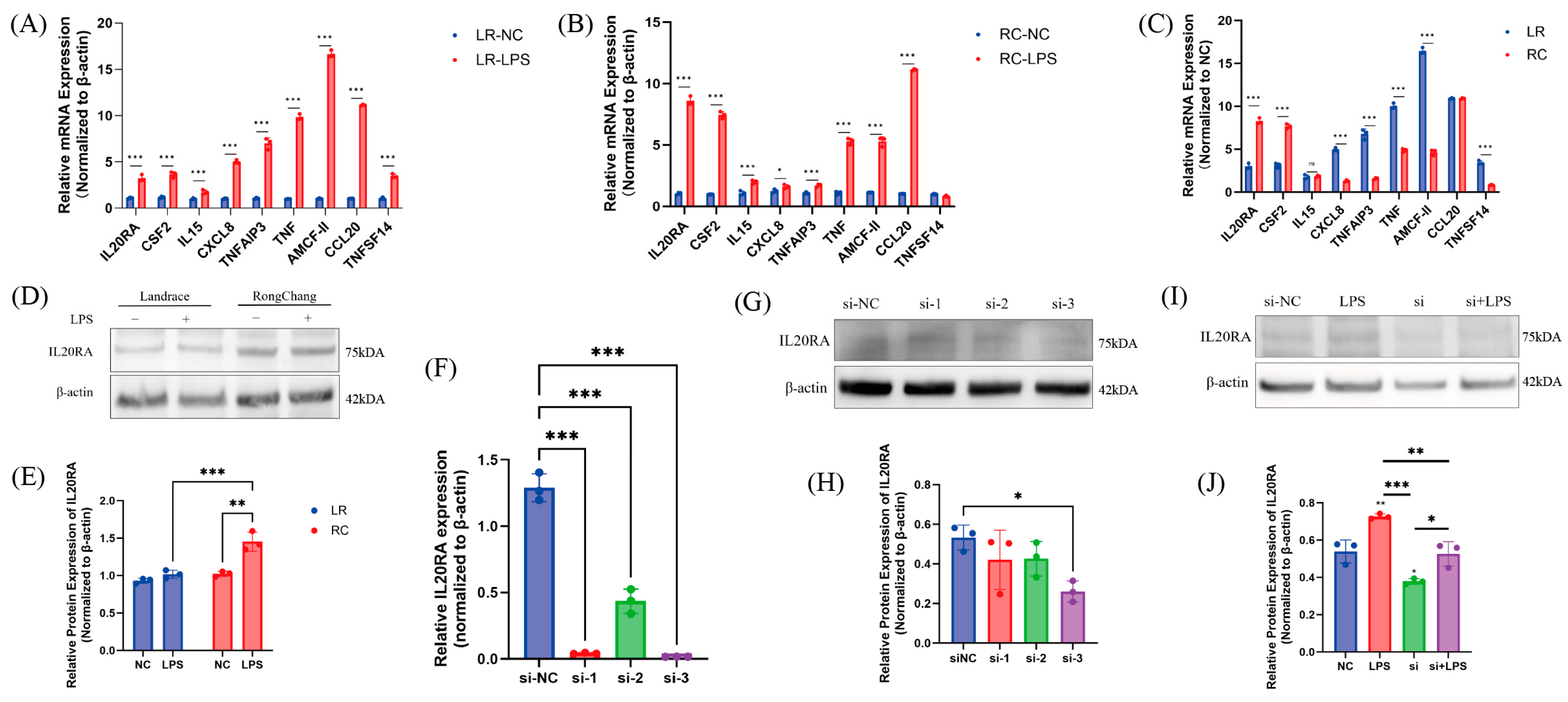 Antioxidants 13 01545 g007