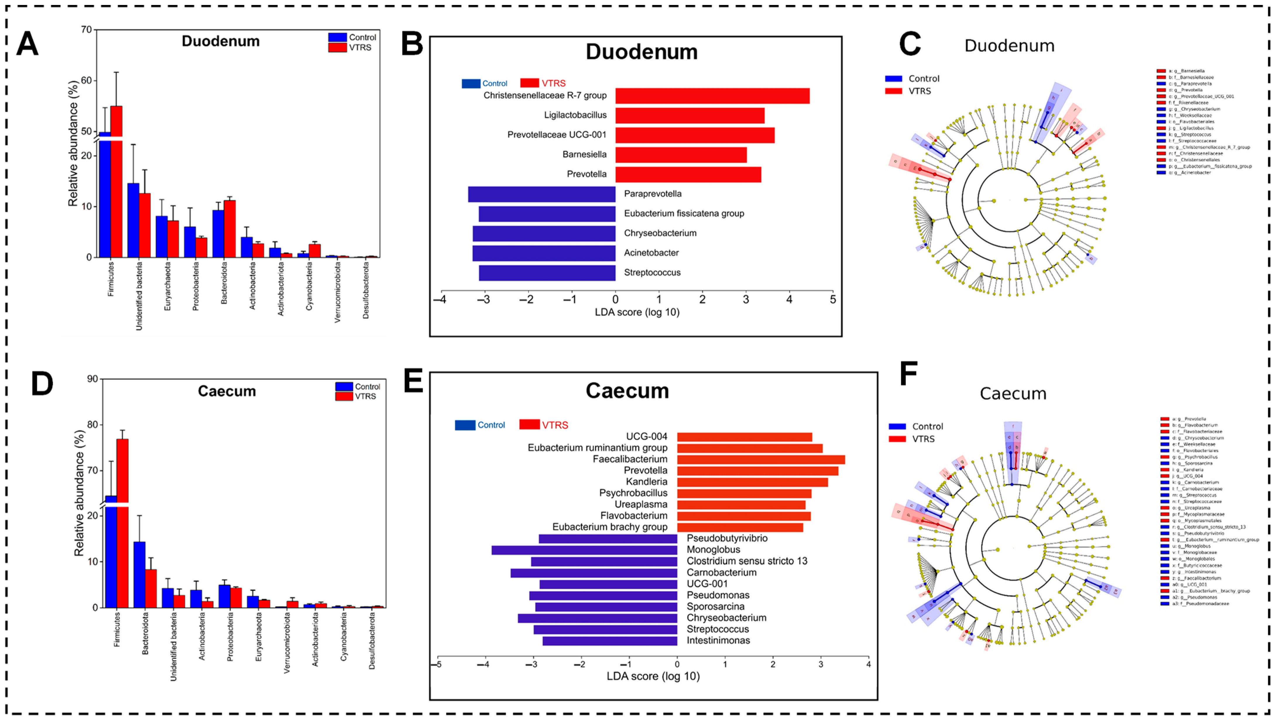 Antioxidants 13 01546 g004