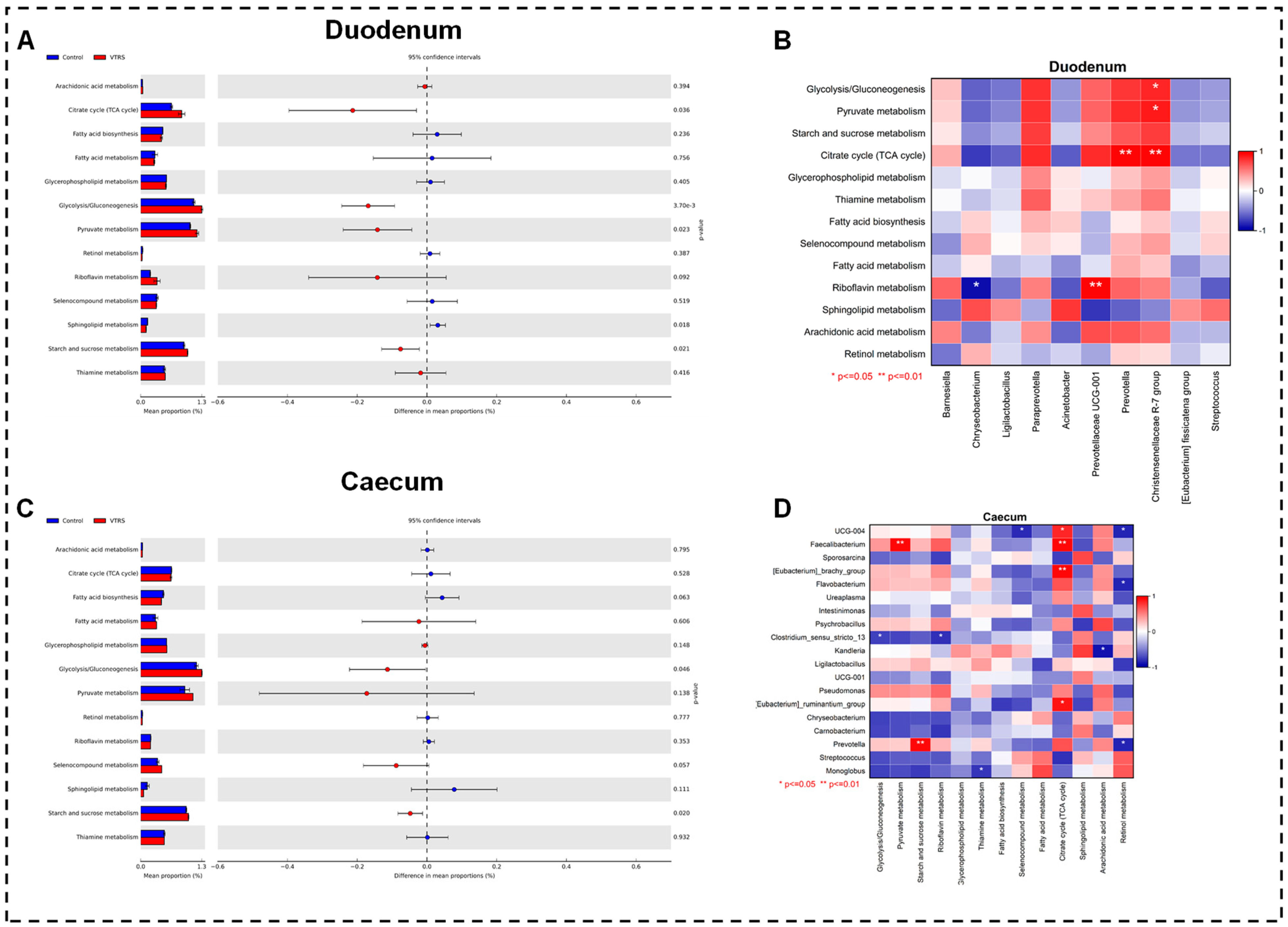 Antioxidants 13 01546 g005