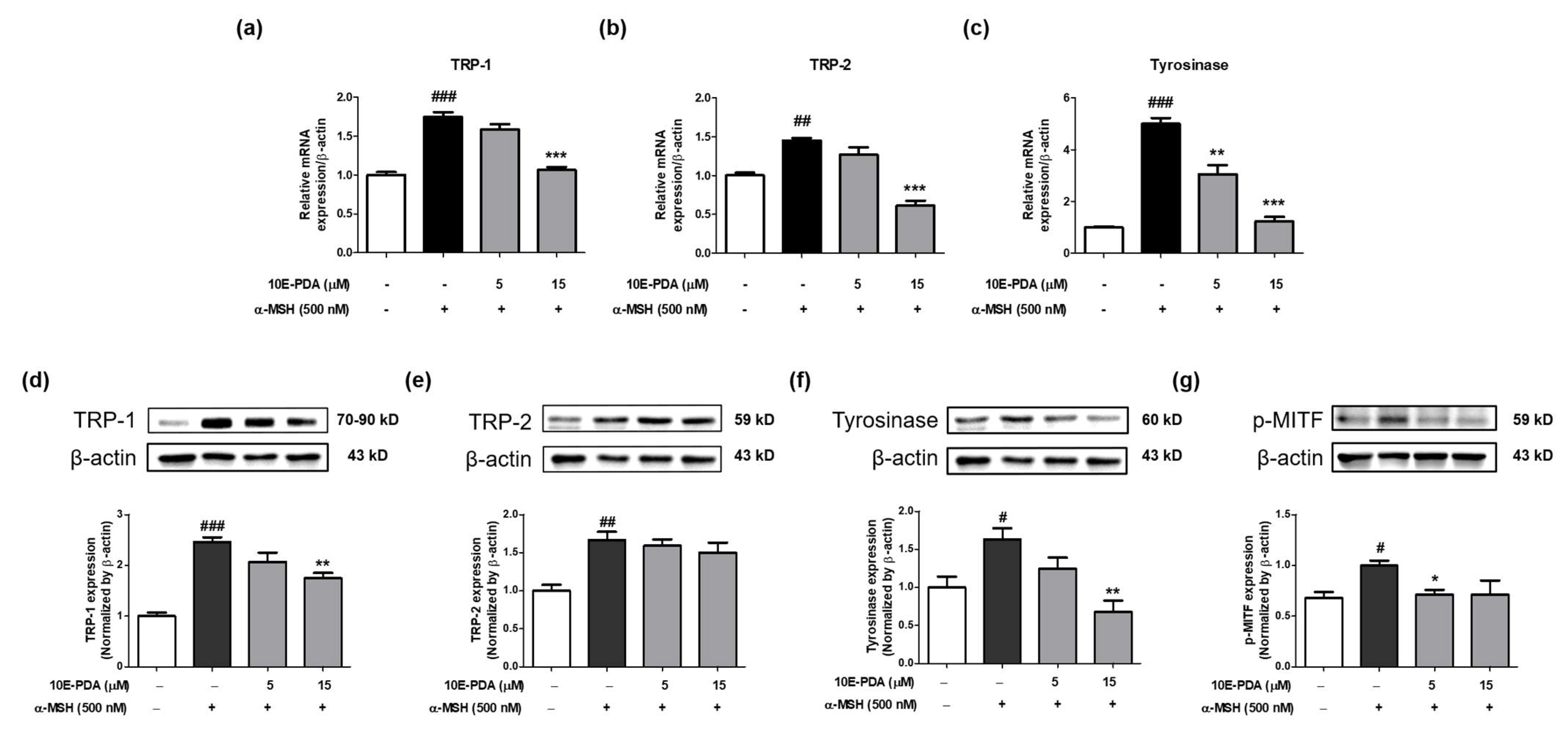 Antioxidants 13 01547 g004