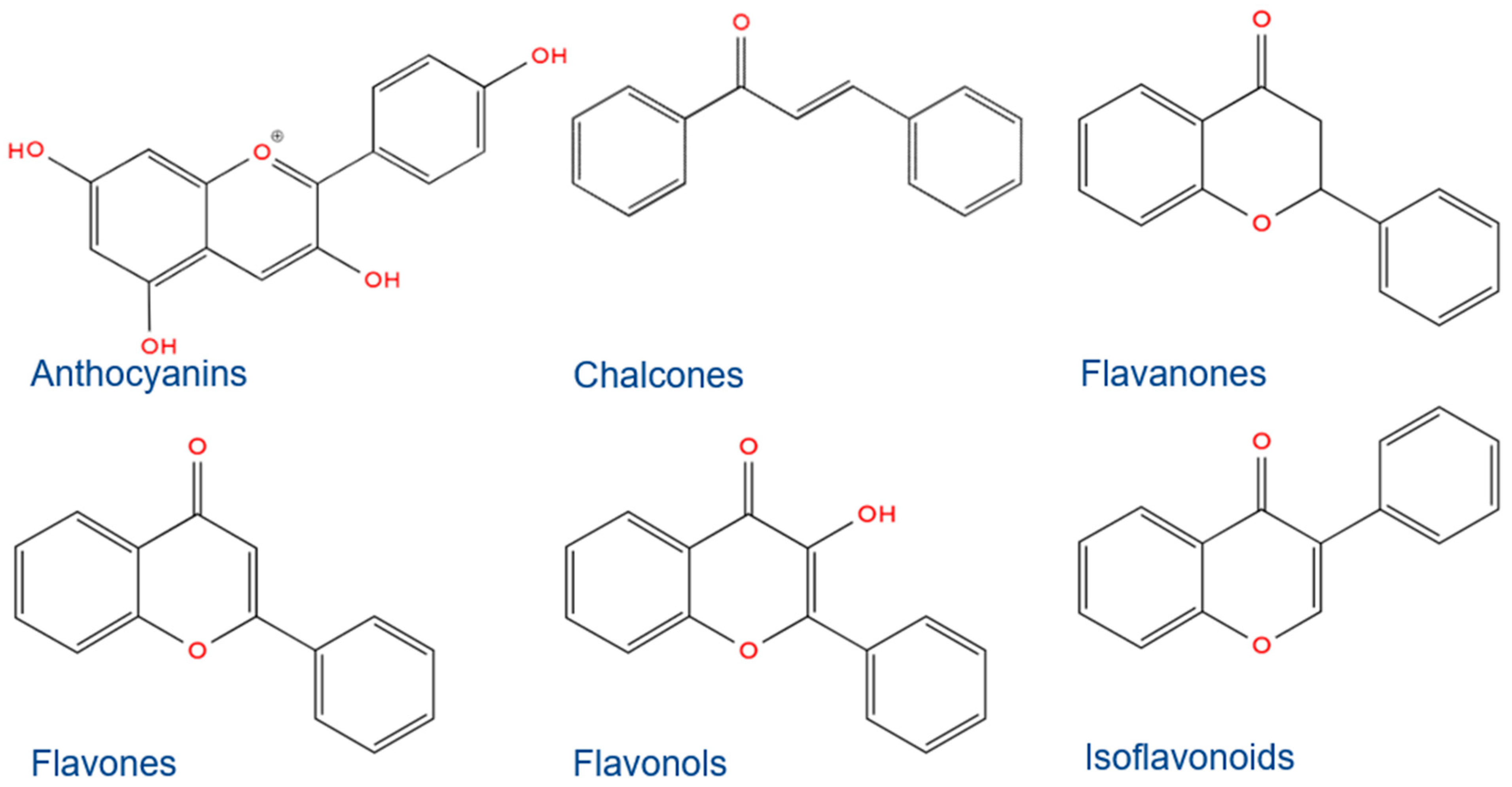 Antioxidants 13 01548 g002
