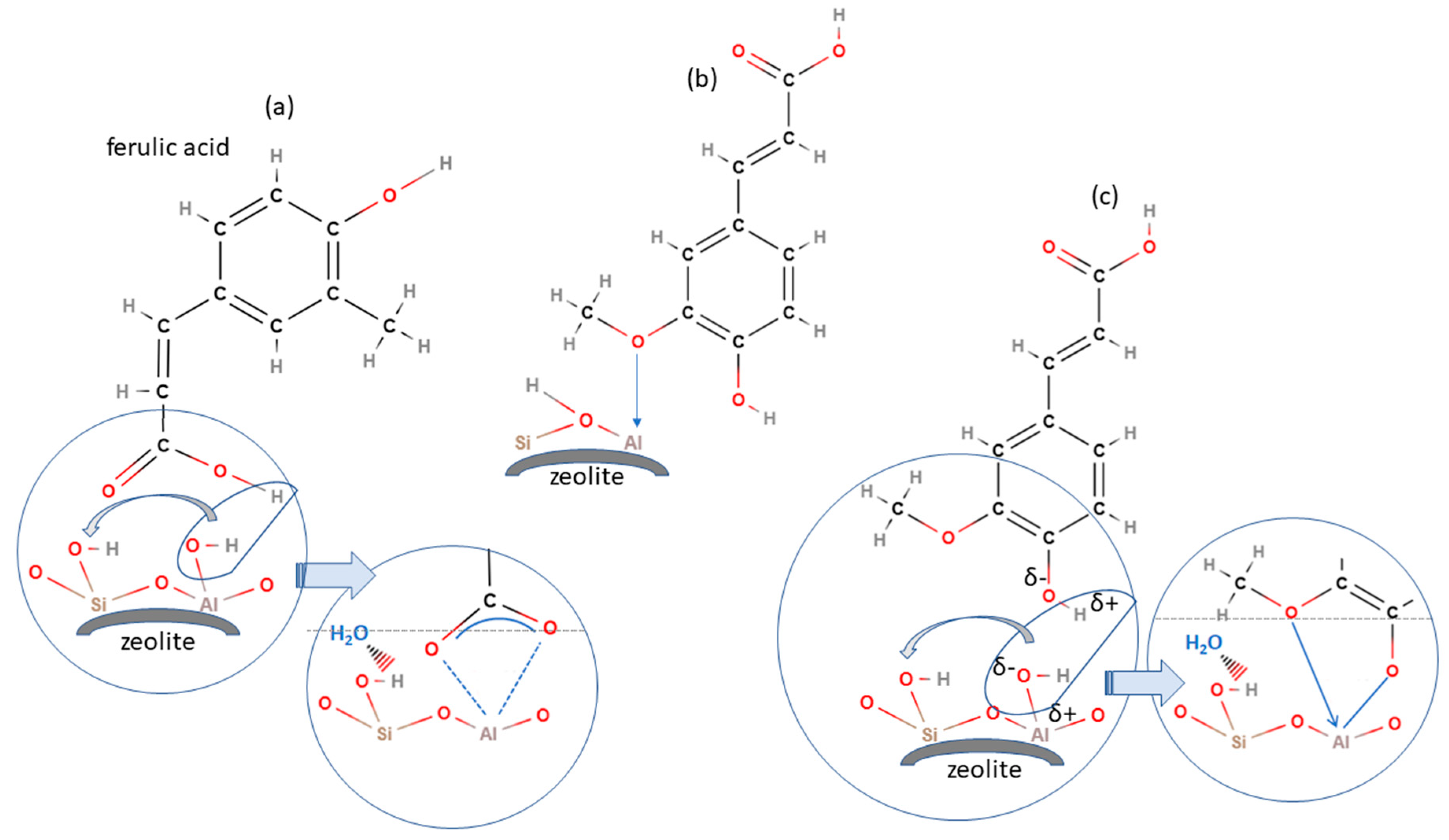 Antioxidants 13 01548 g008