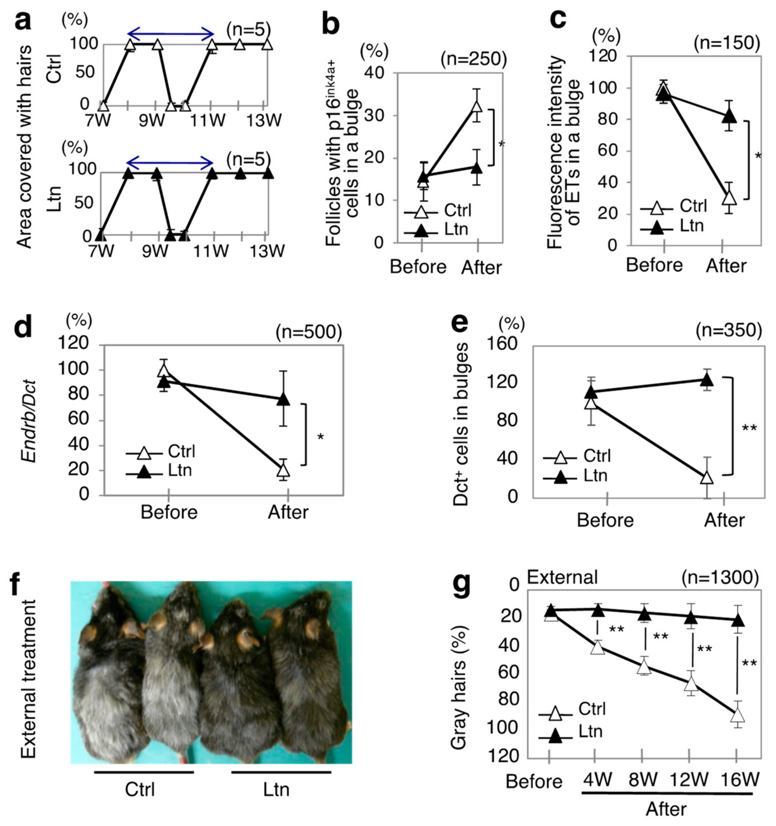 Antioxidants 13 01549 g001