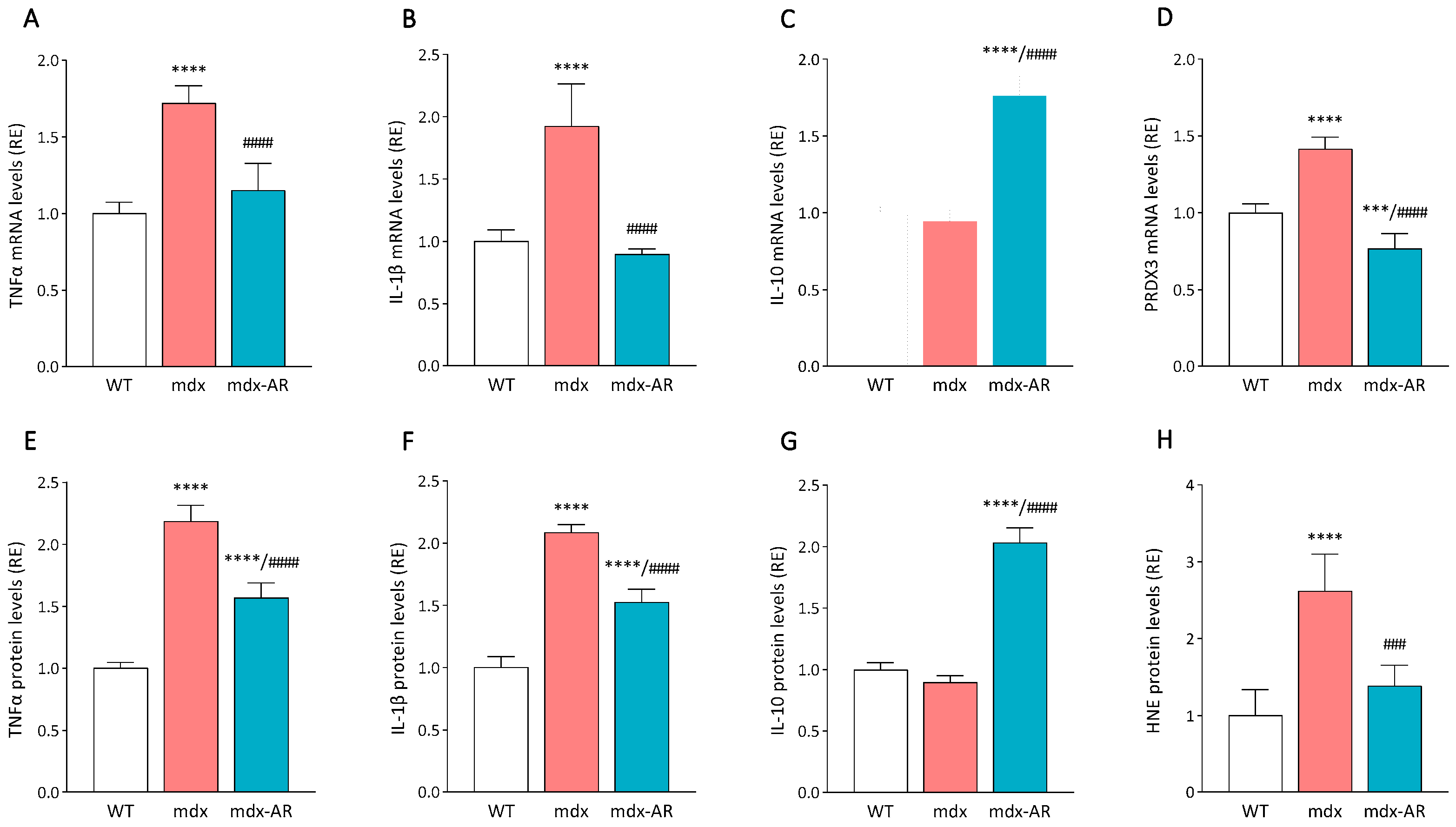 Antioxidants 13 01551 g002