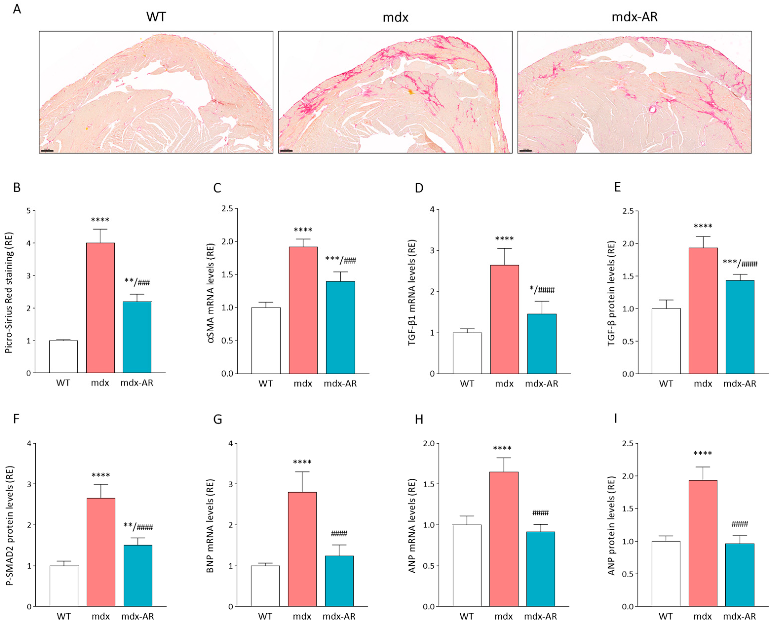 Antioxidants 13 01551 g004