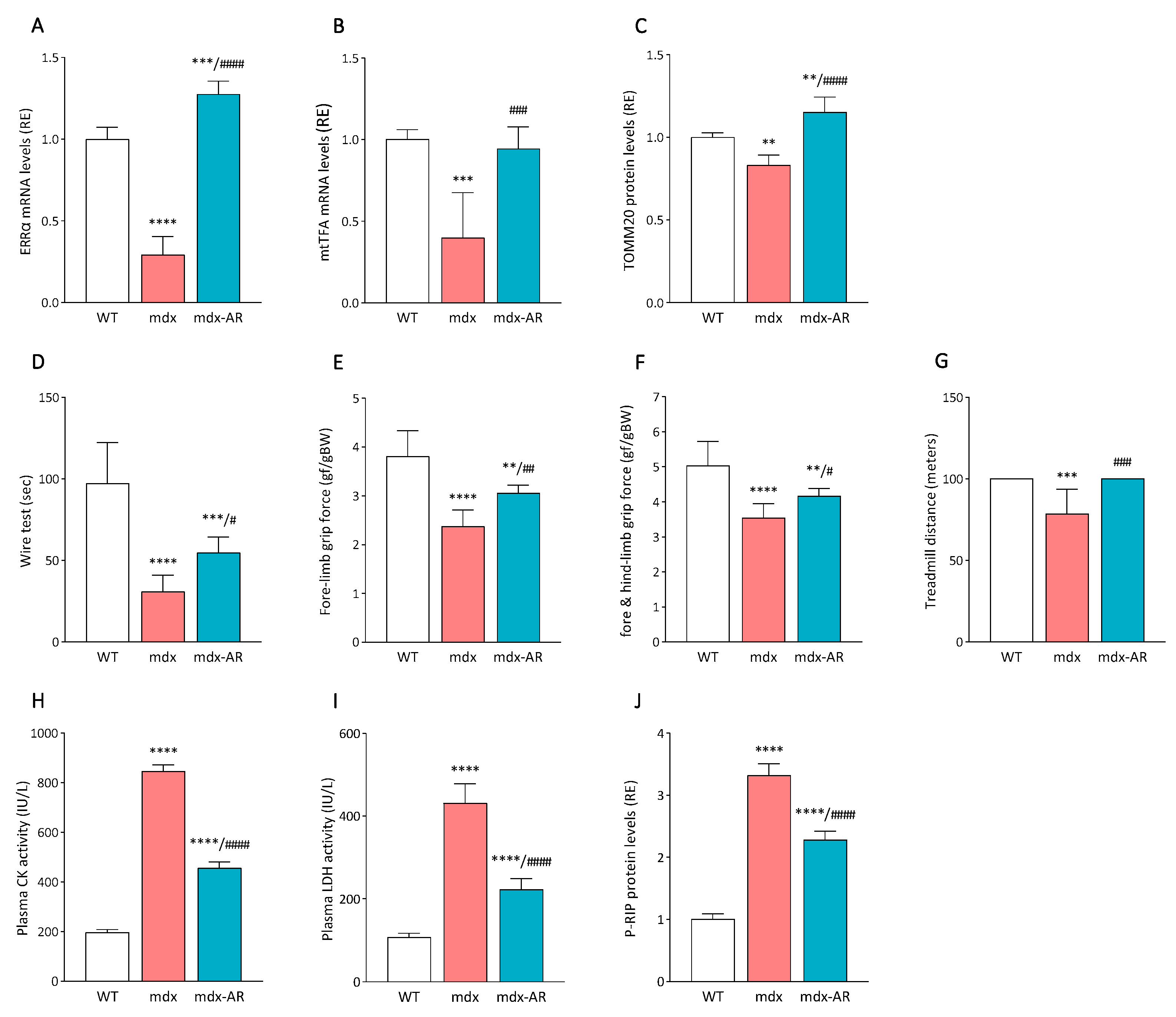 Antioxidants 13 01551 g006