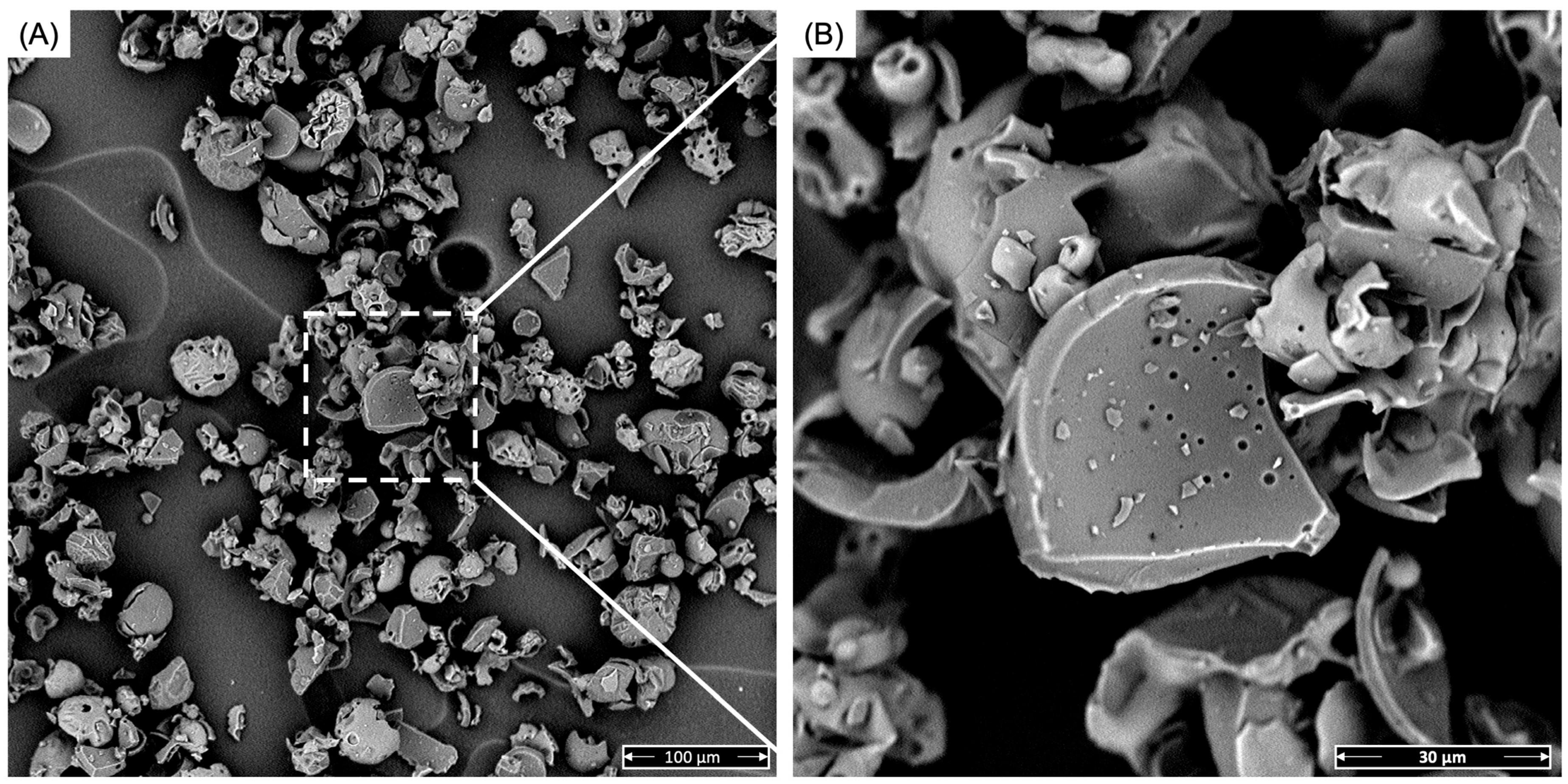 Antioxidants 13 01555 g002