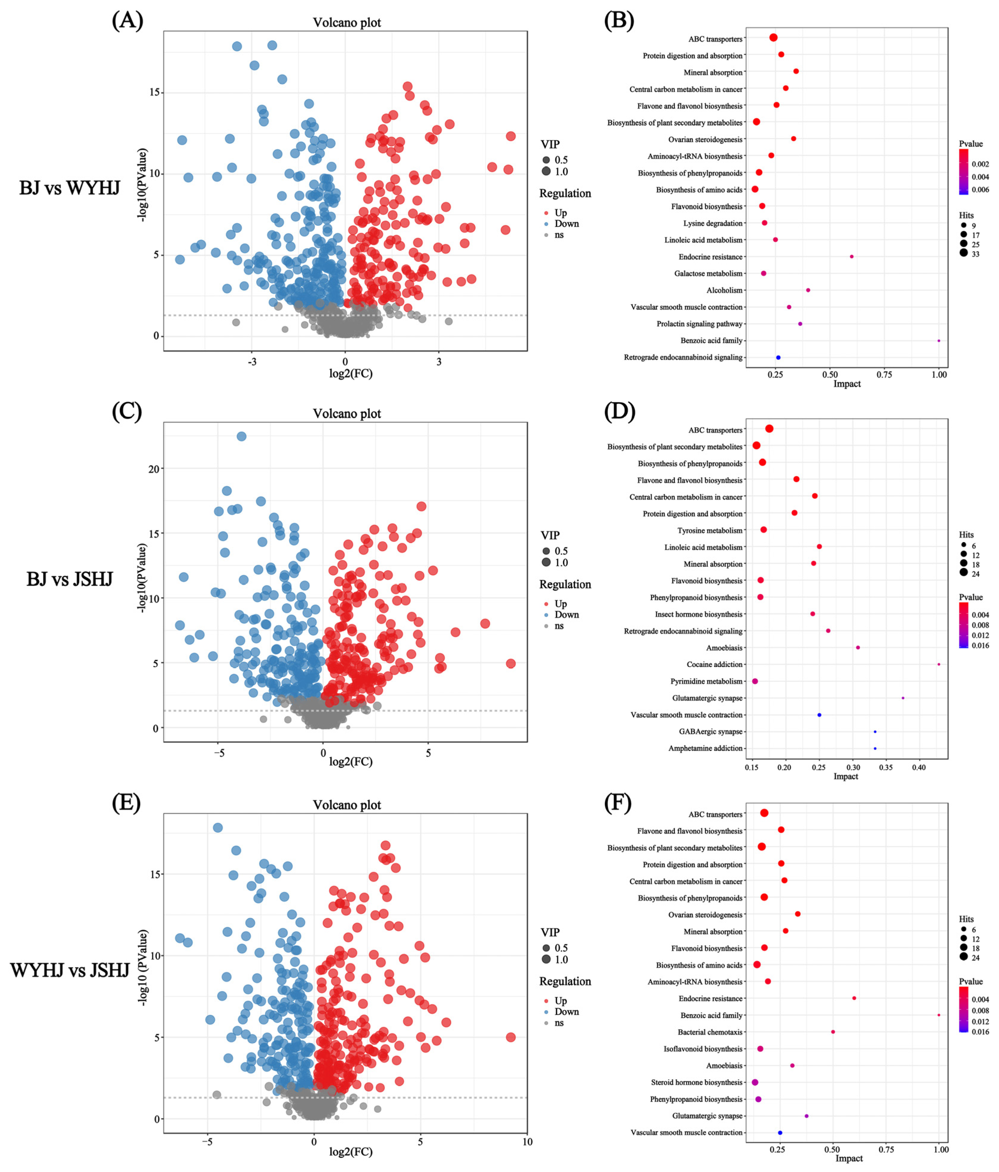 Antioxidants 13 01557 g006