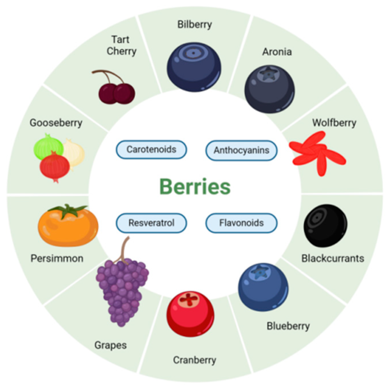 Antioxidants 13 01558 g001