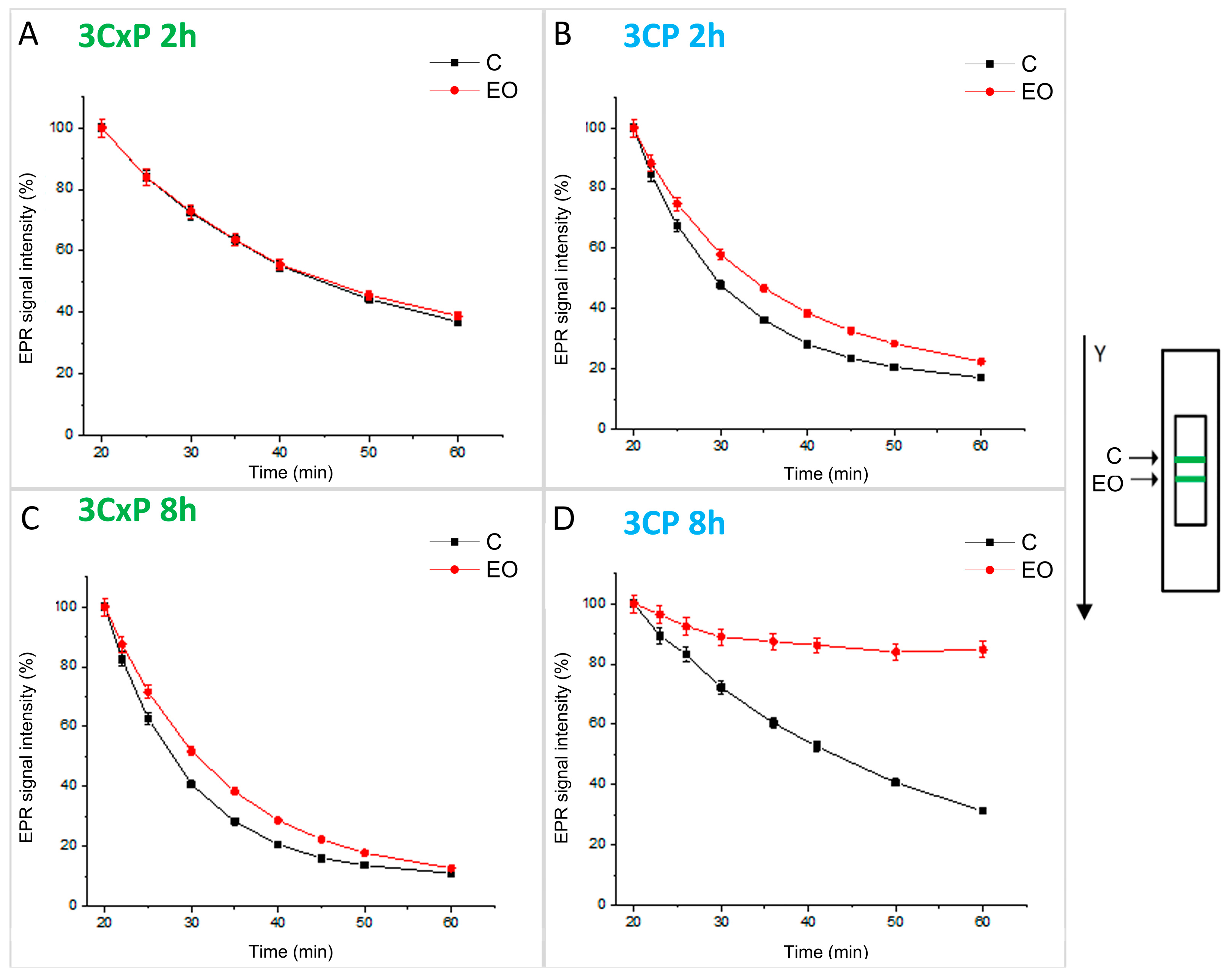 Antioxidants 13 01565 g003