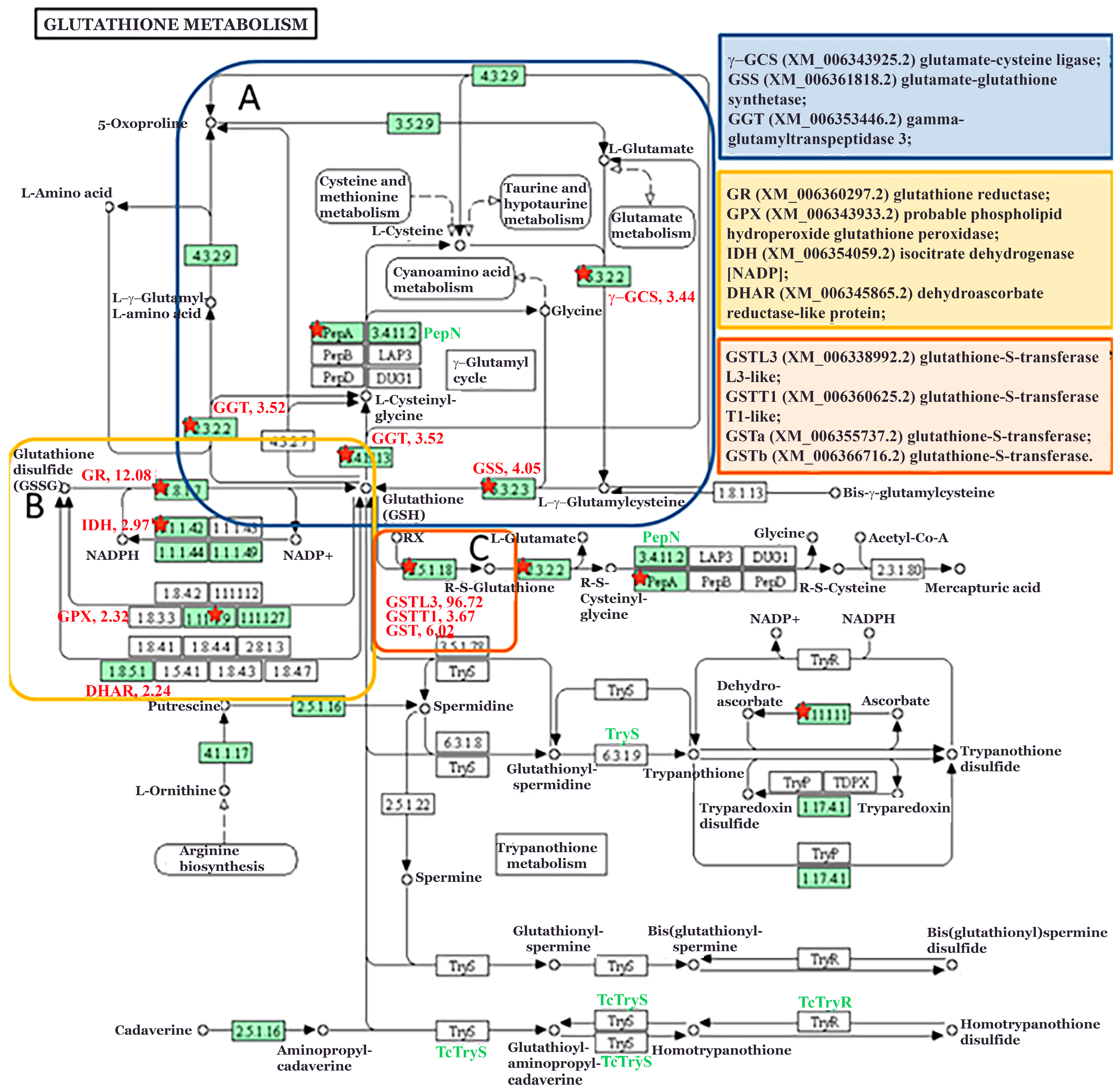 Antioxidants 13 01565 g006