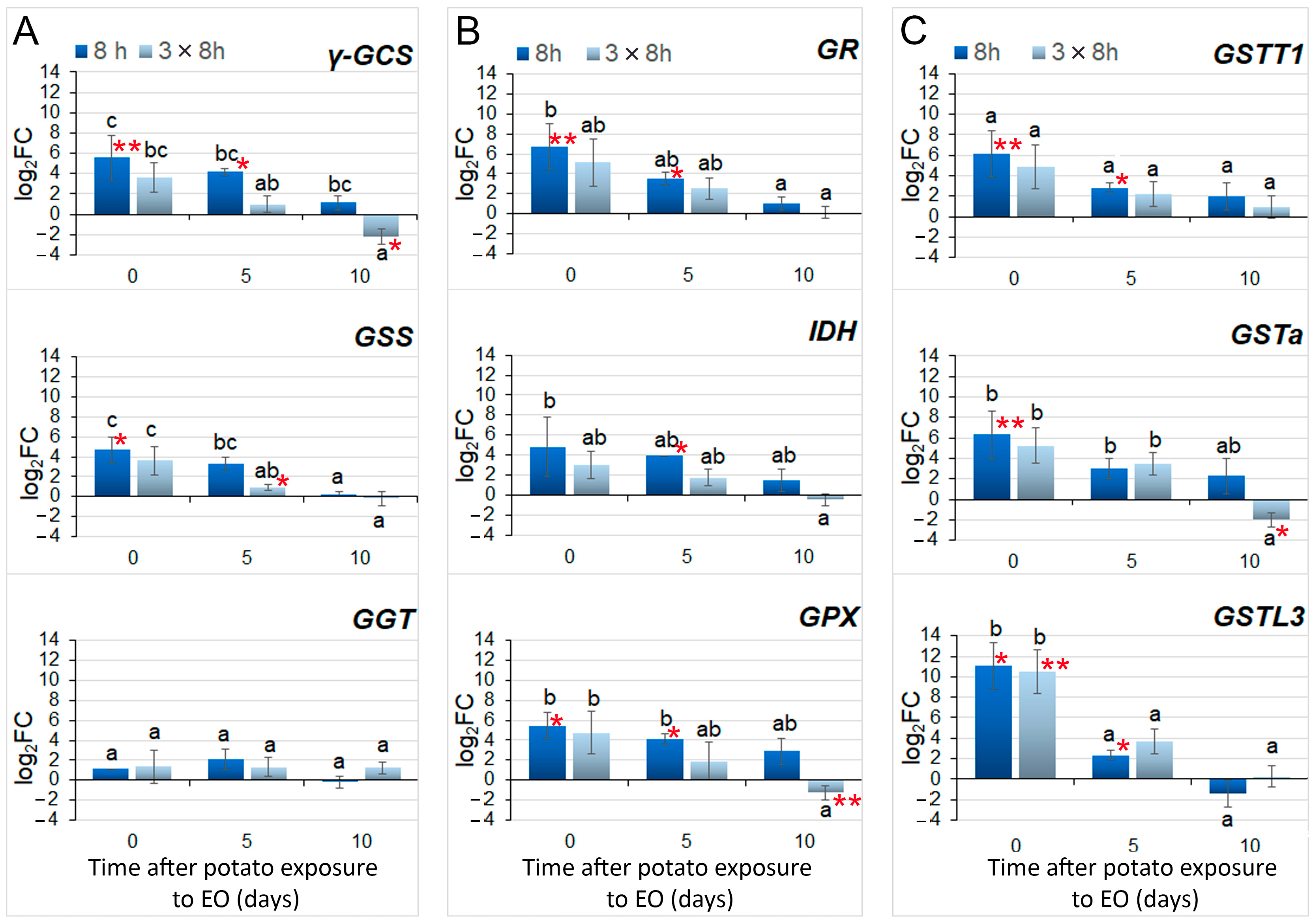 Antioxidants 13 01565 g008