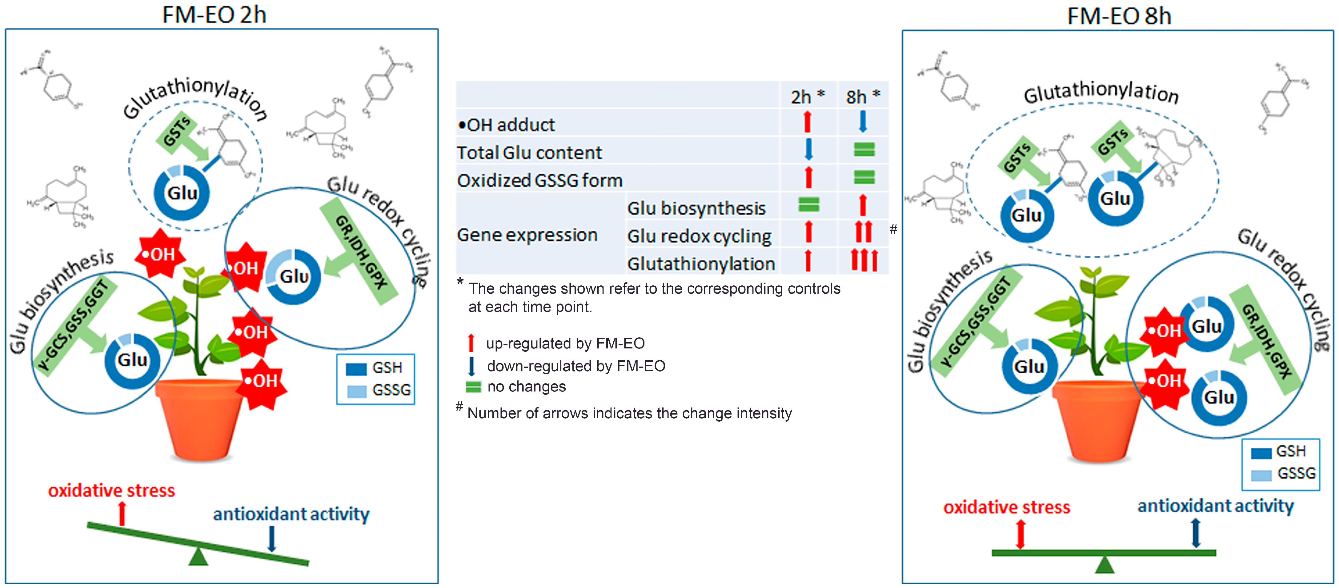 Antioxidants 13 01565 g009