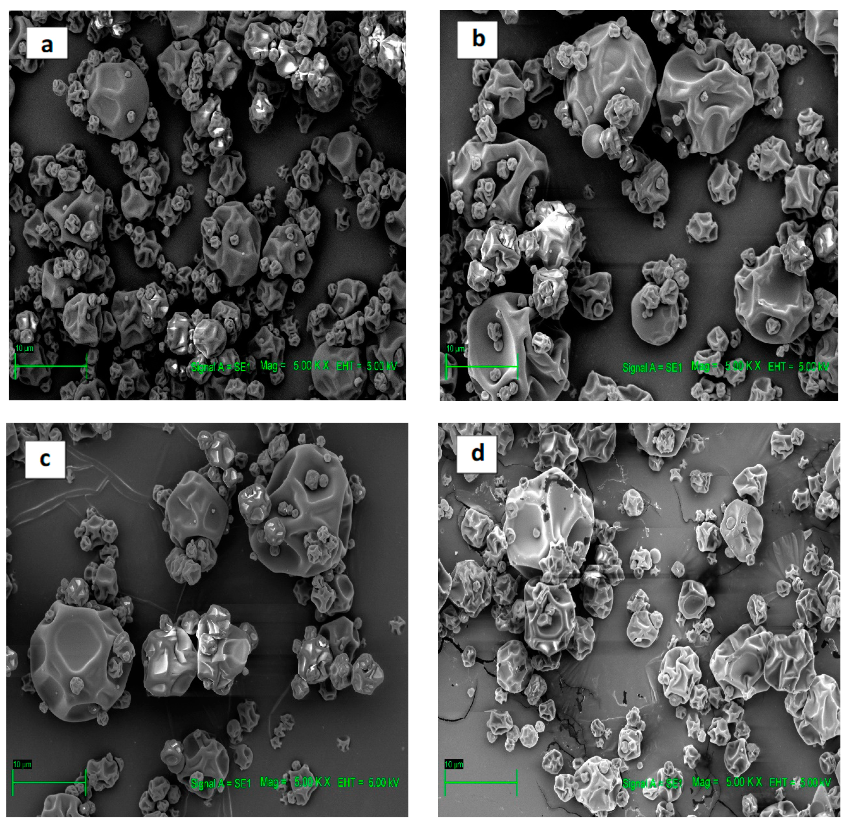 Antioxidants 13 01568 g003