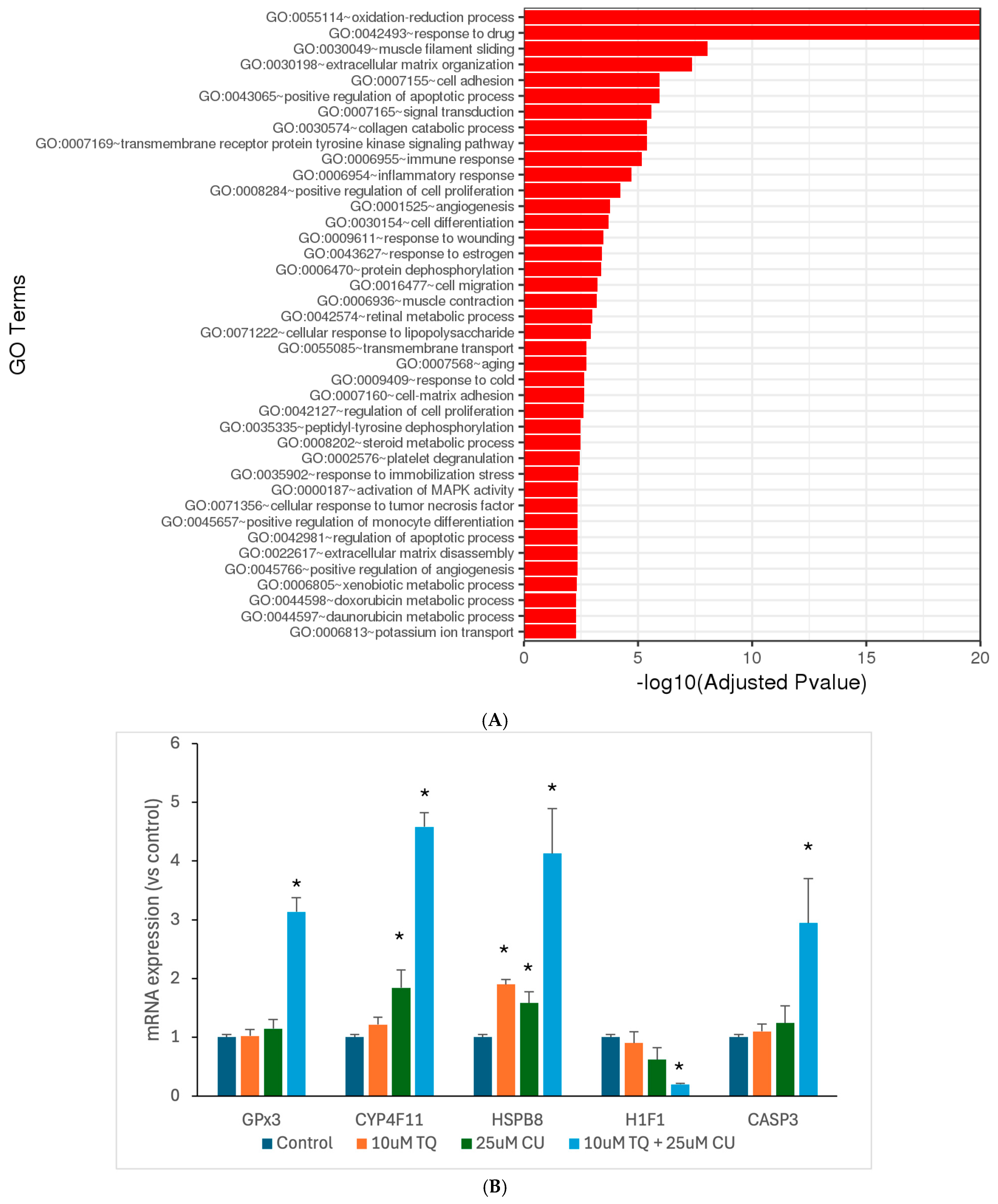 Antioxidants 13 01573 g006