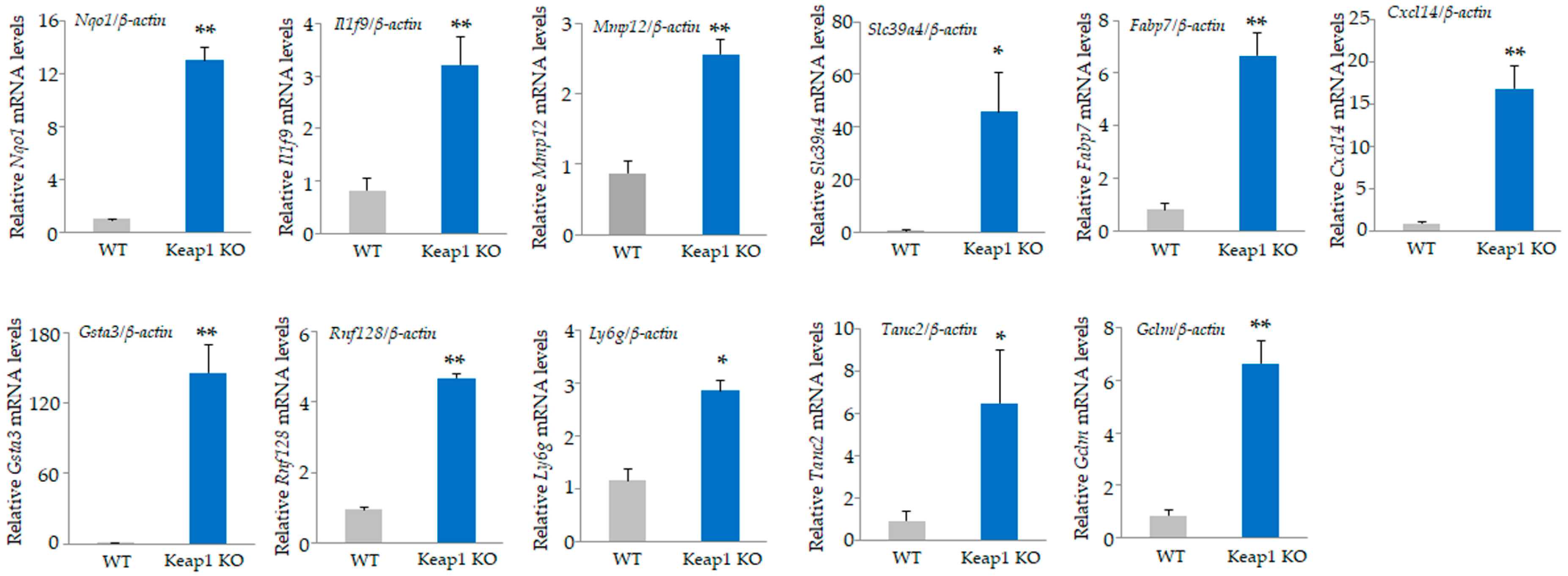 Antioxidants 13 01575 g002