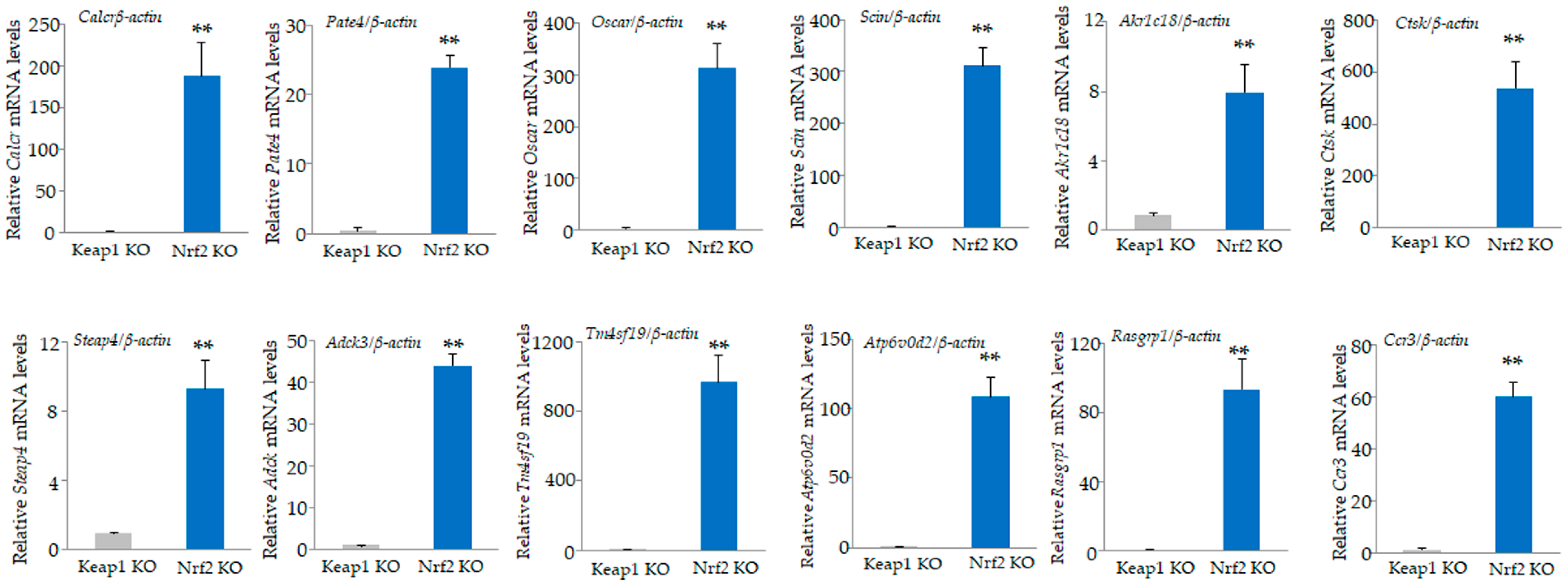 Antioxidants 13 01575 g006