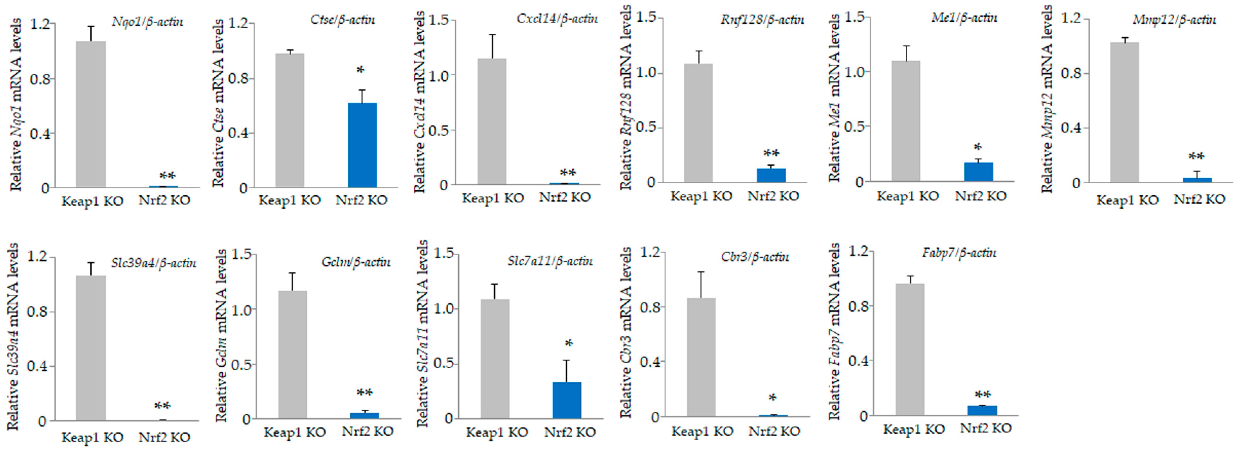 Antioxidants 13 01575 g007