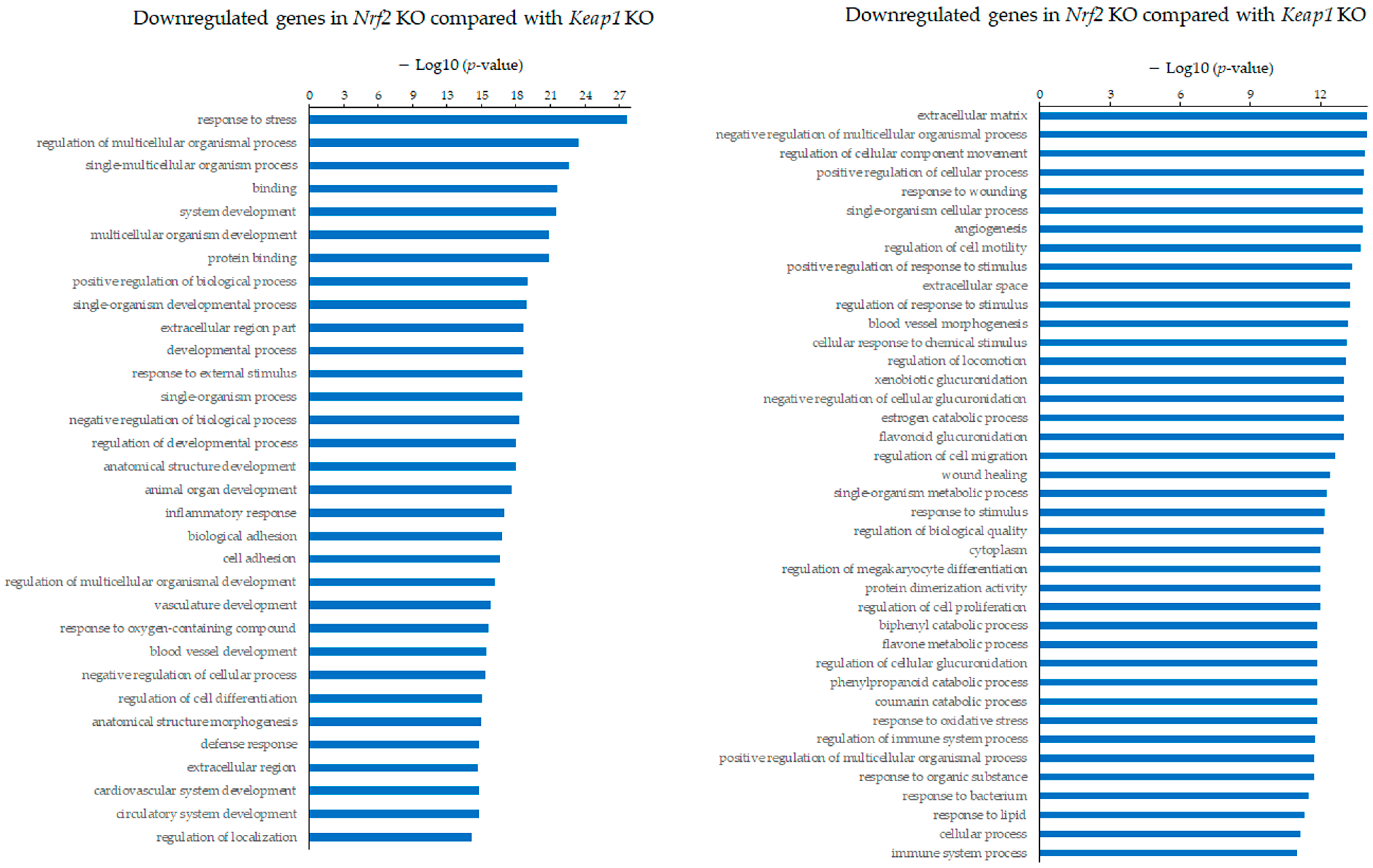 Antioxidants 13 01575 g008c