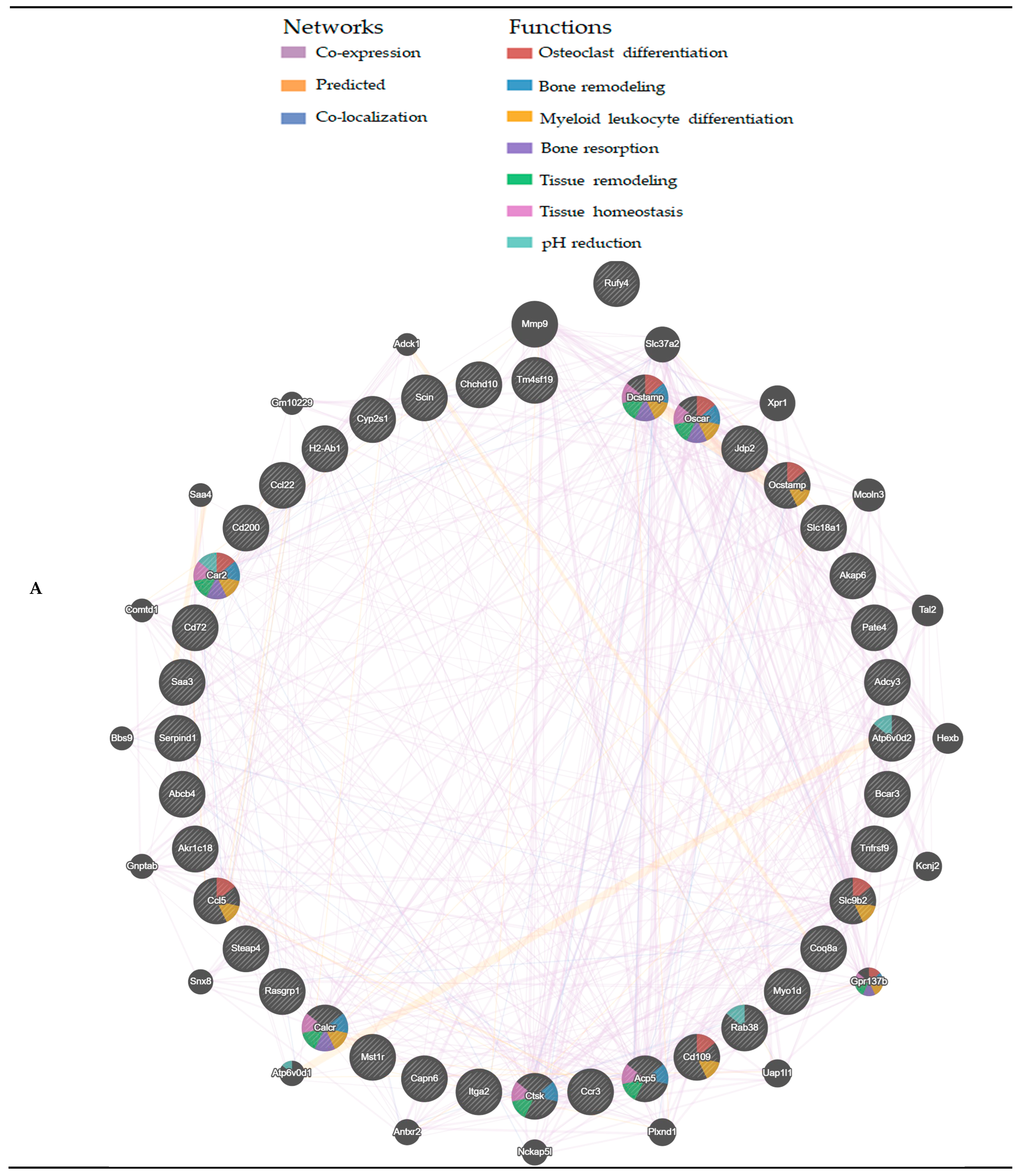 Antioxidants 13 01575 g010a