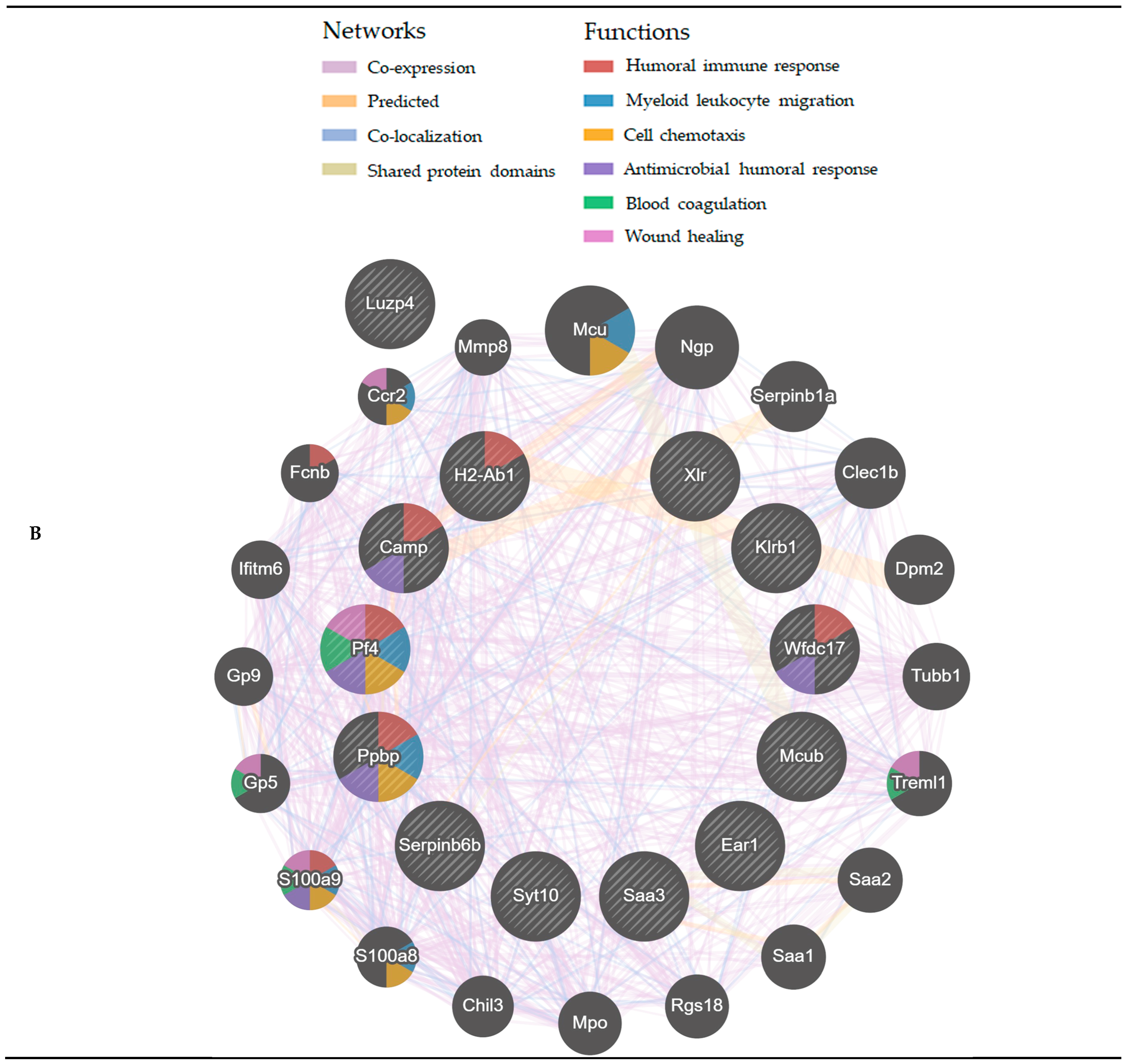 Antioxidants 13 01575 g010b