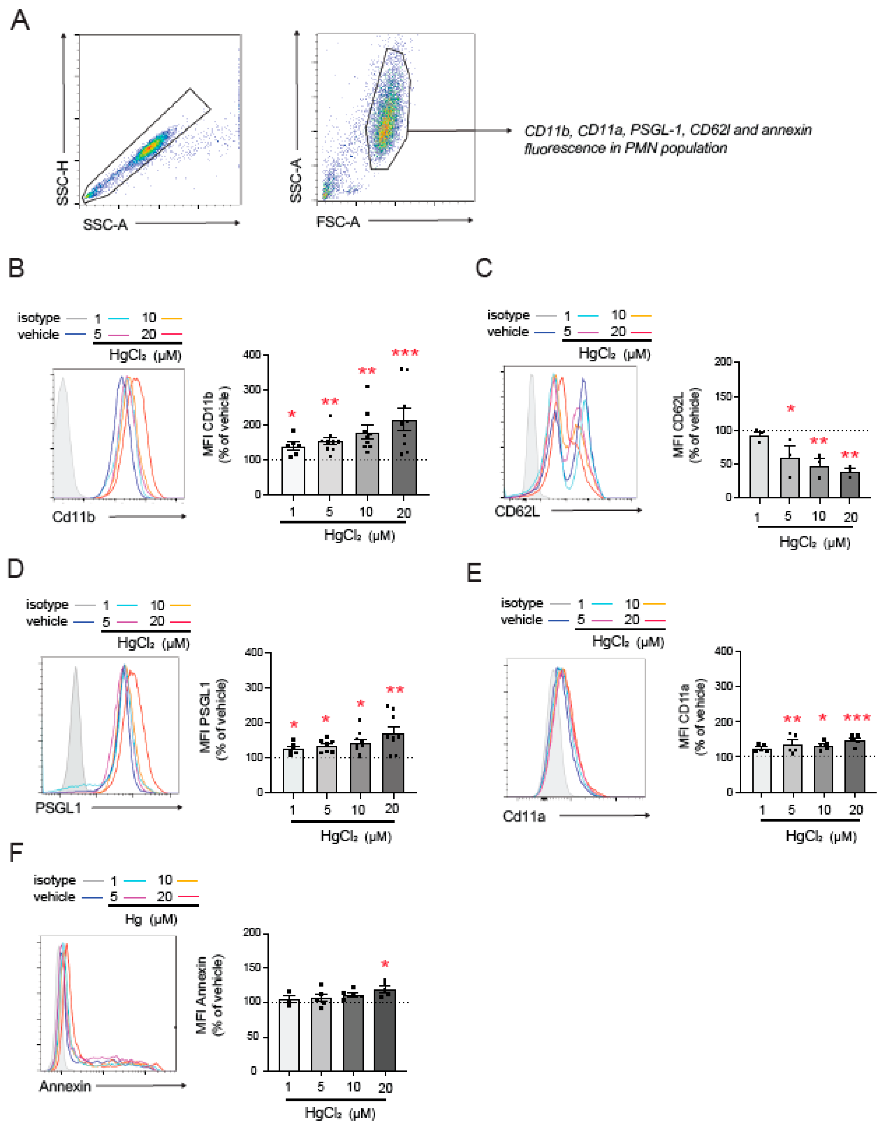 Antioxidants 13 01576 g002 Antioxidants 13 01576 g002