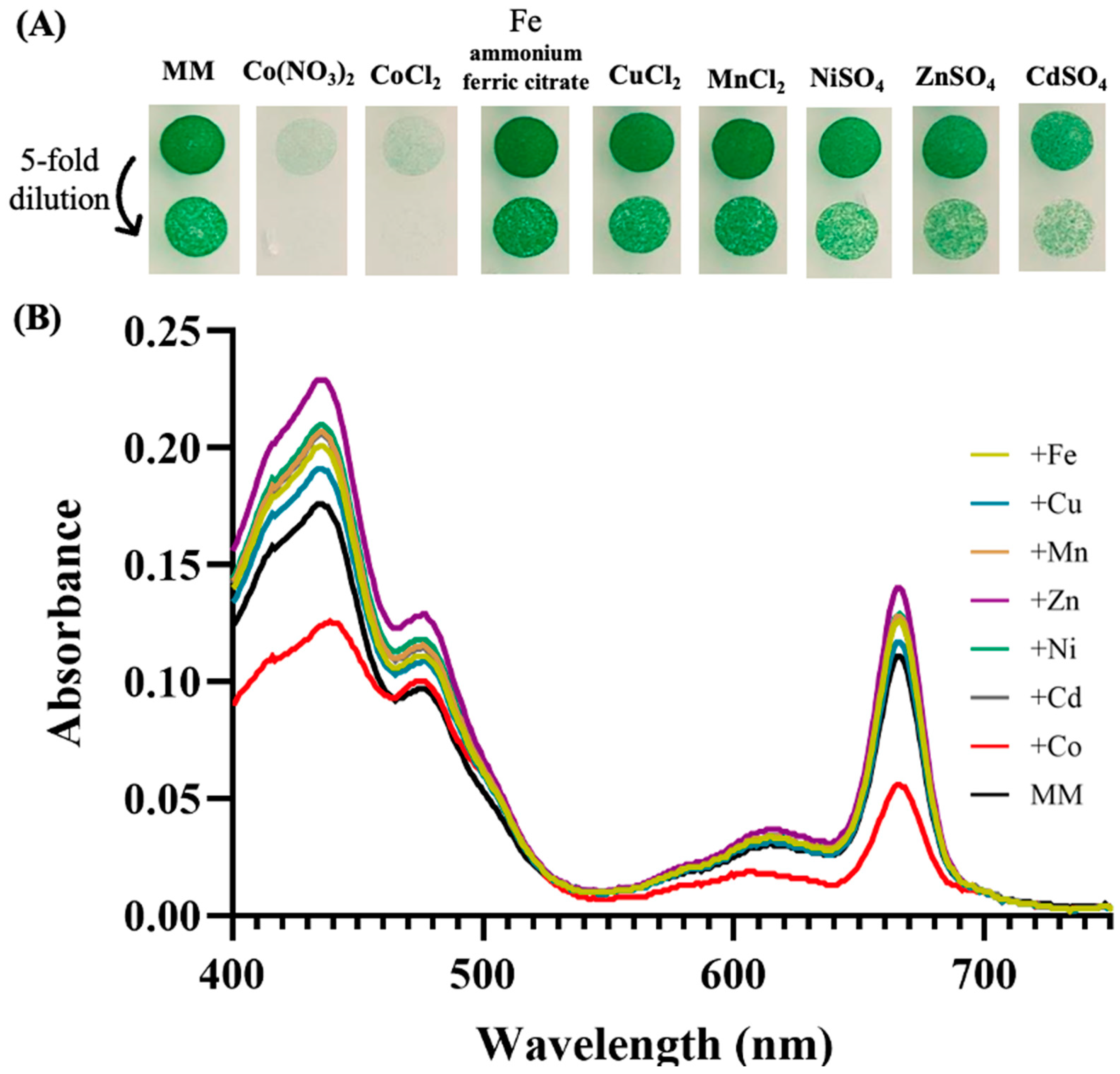 Antioxidants 13 01577 g001