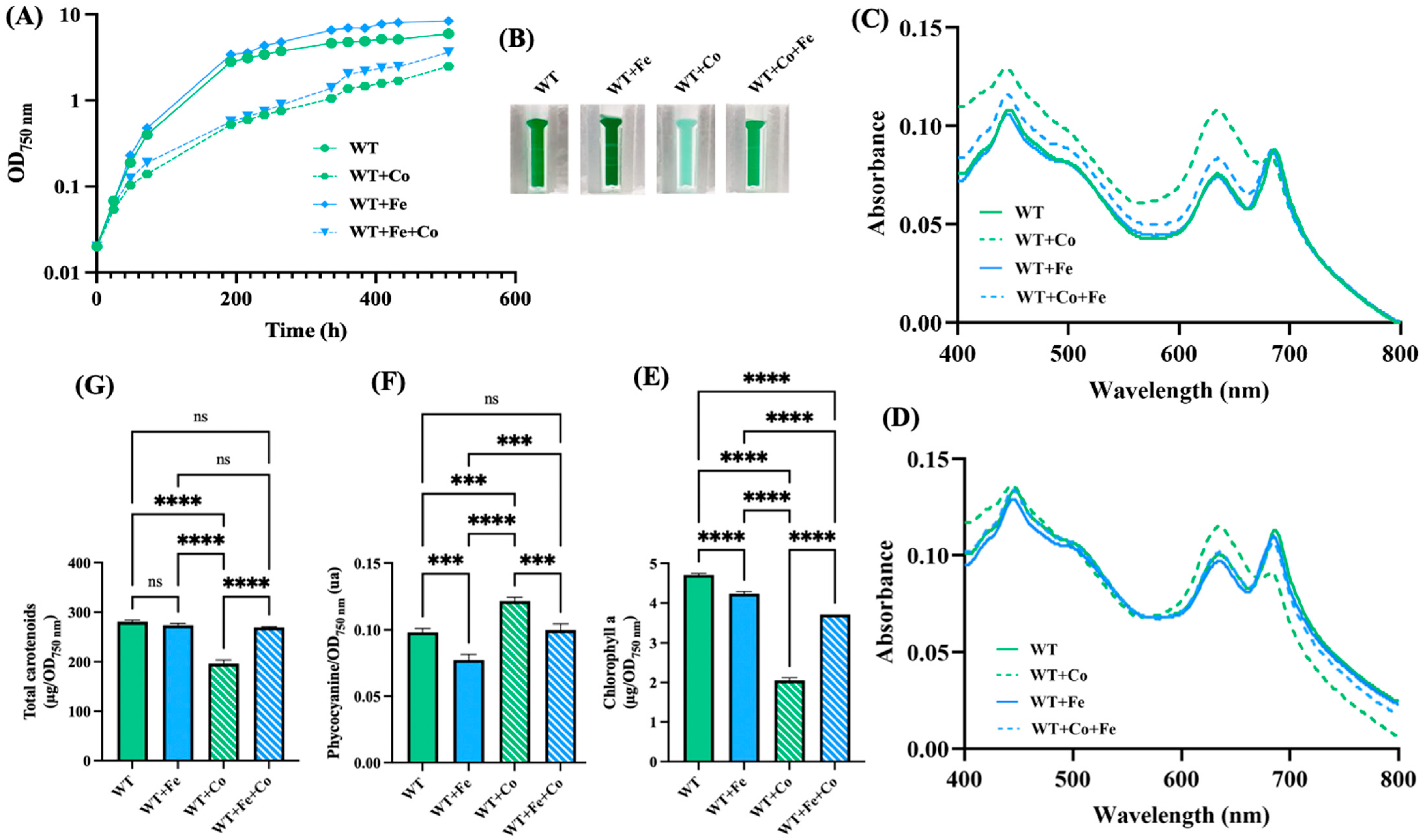 Antioxidants 13 01577 g002