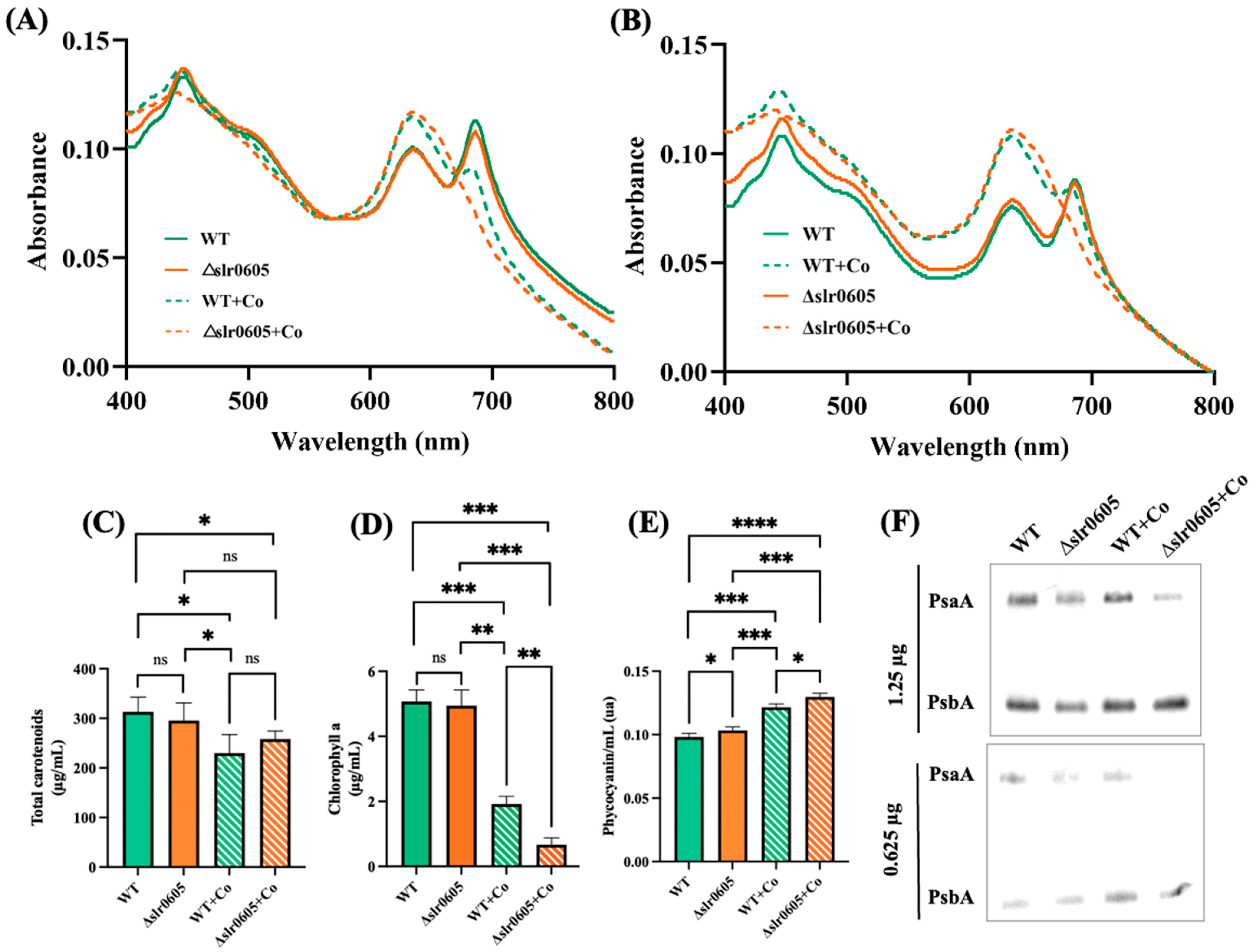 Antioxidants 13 01577 g005