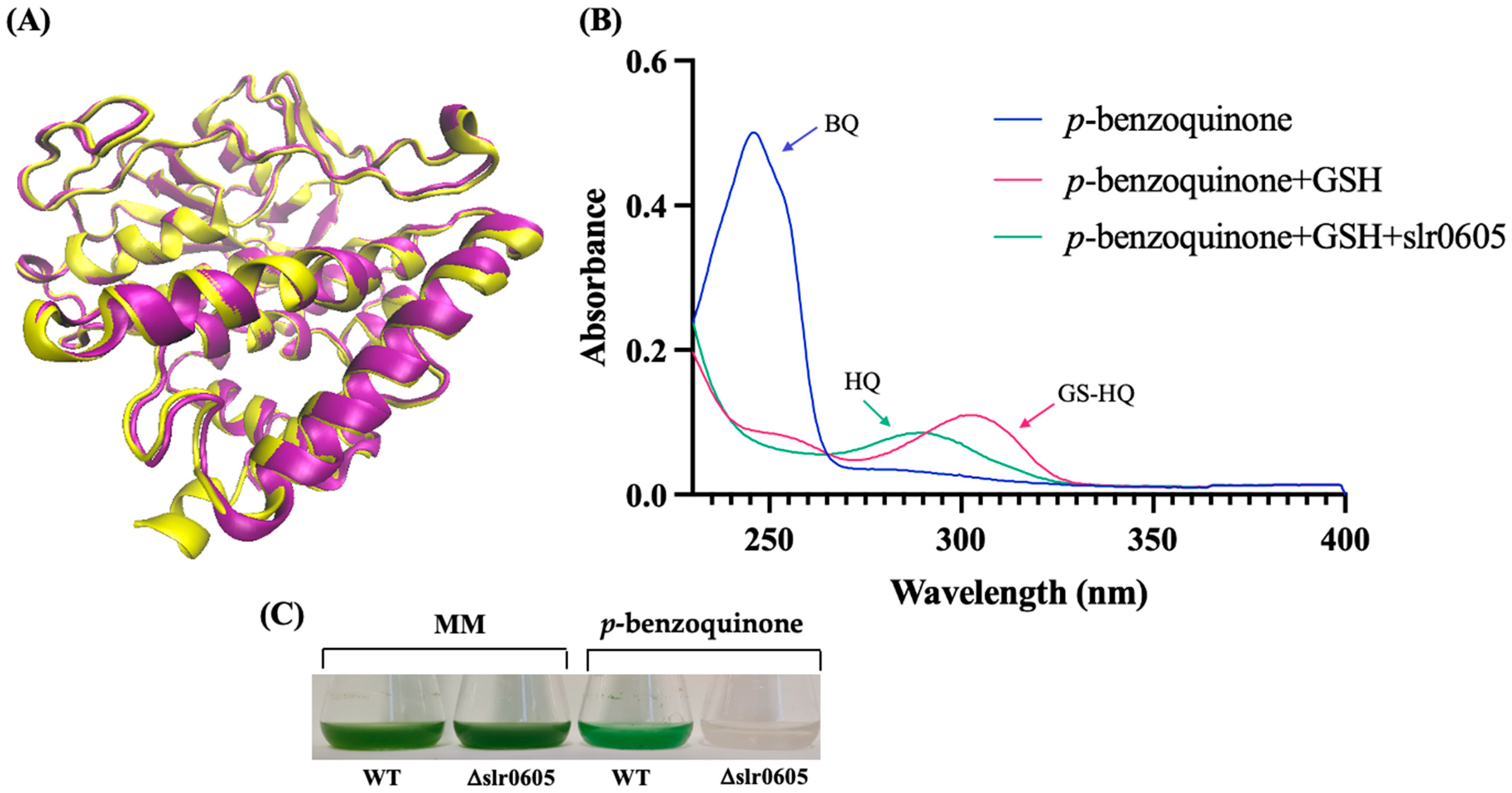 Antioxidants 13 01577 g009
