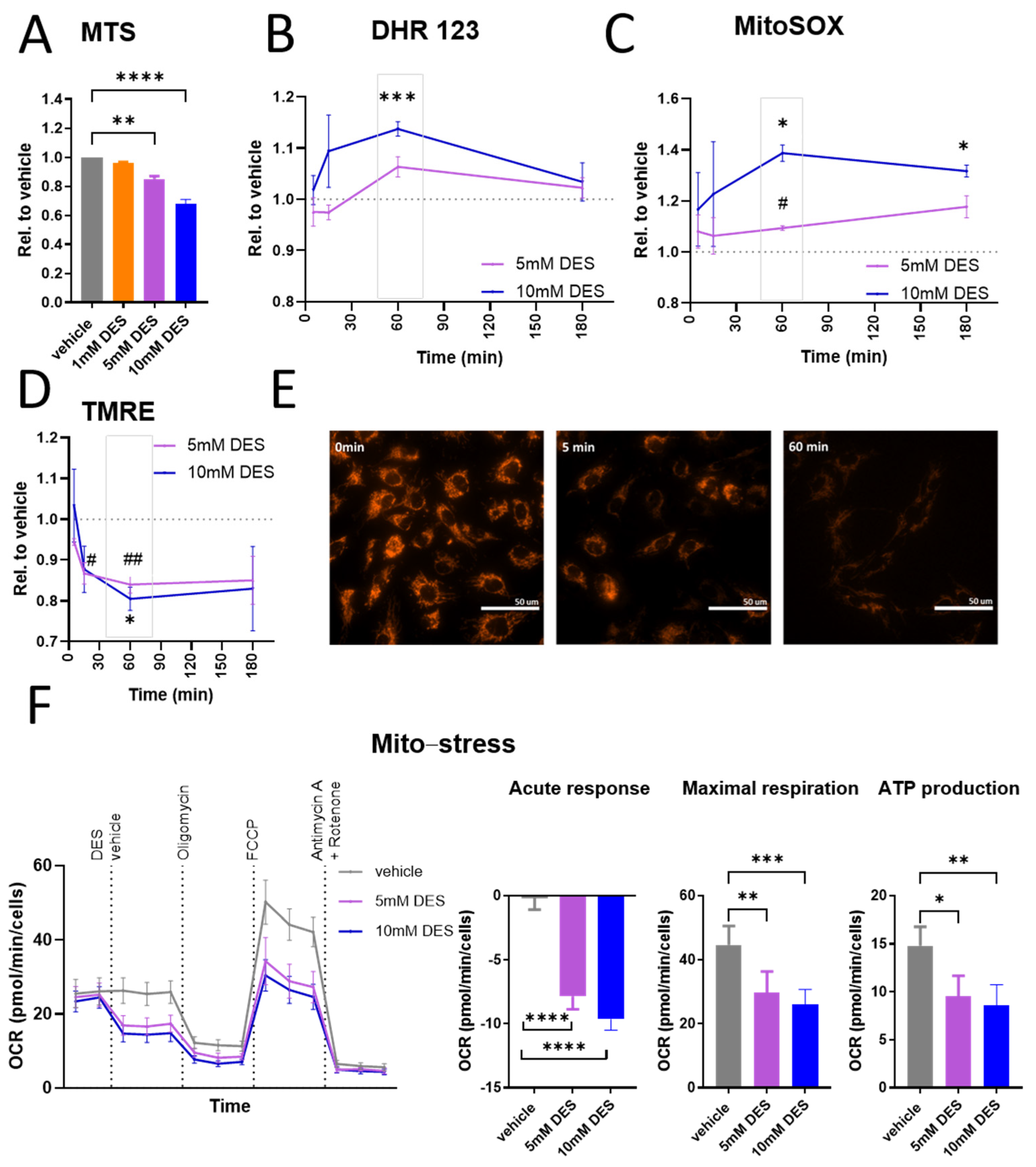 Antioxidants 13 01579 g001