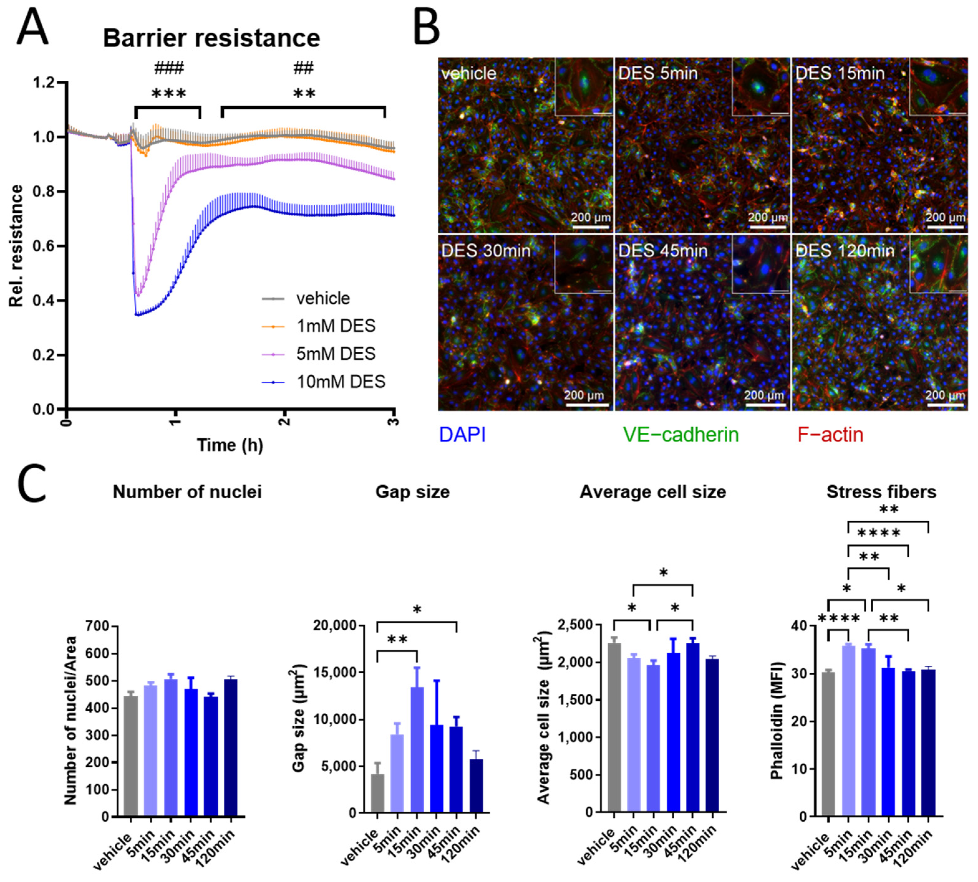 Antioxidants 13 01579 g003
