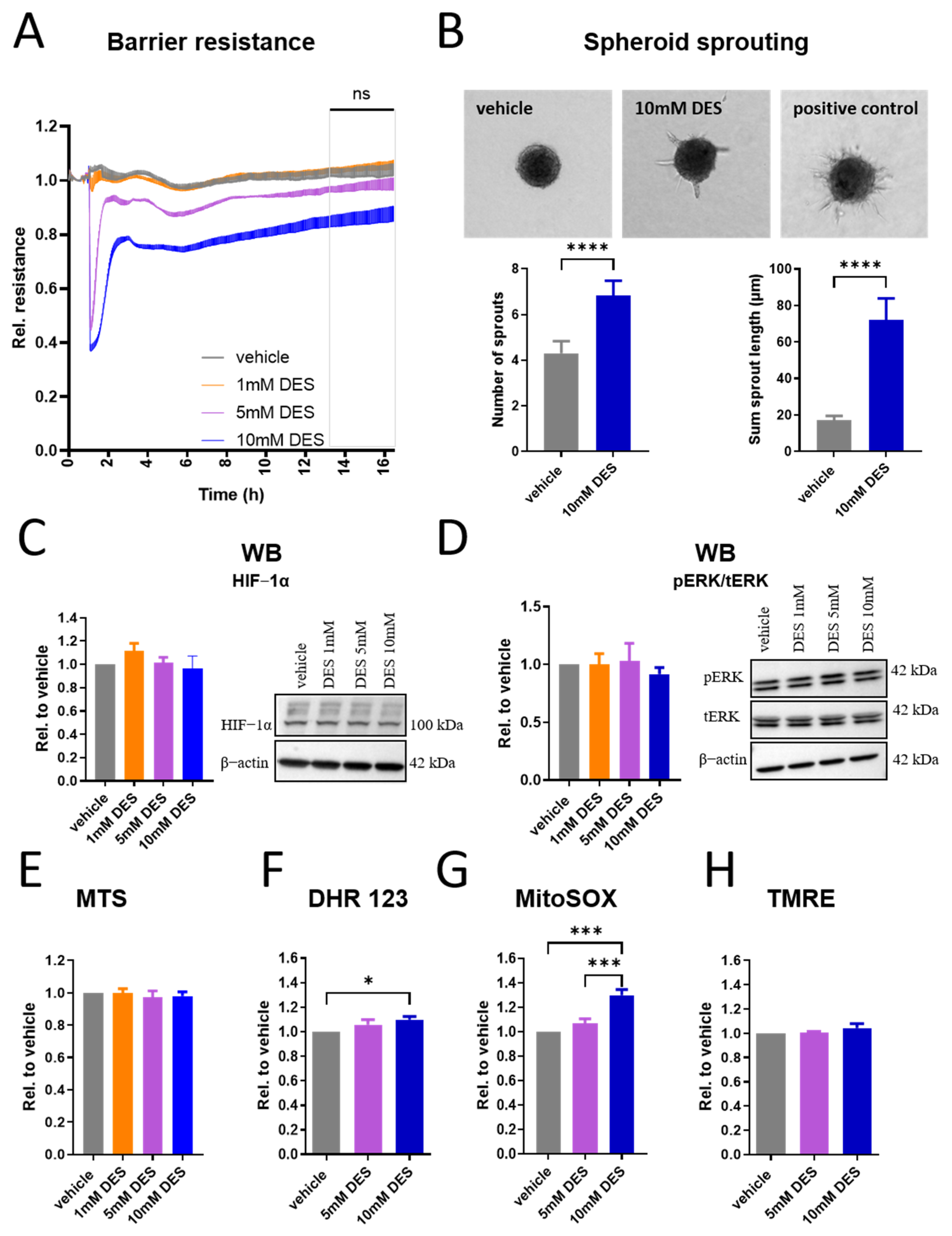 Antioxidants 13 01579 g004