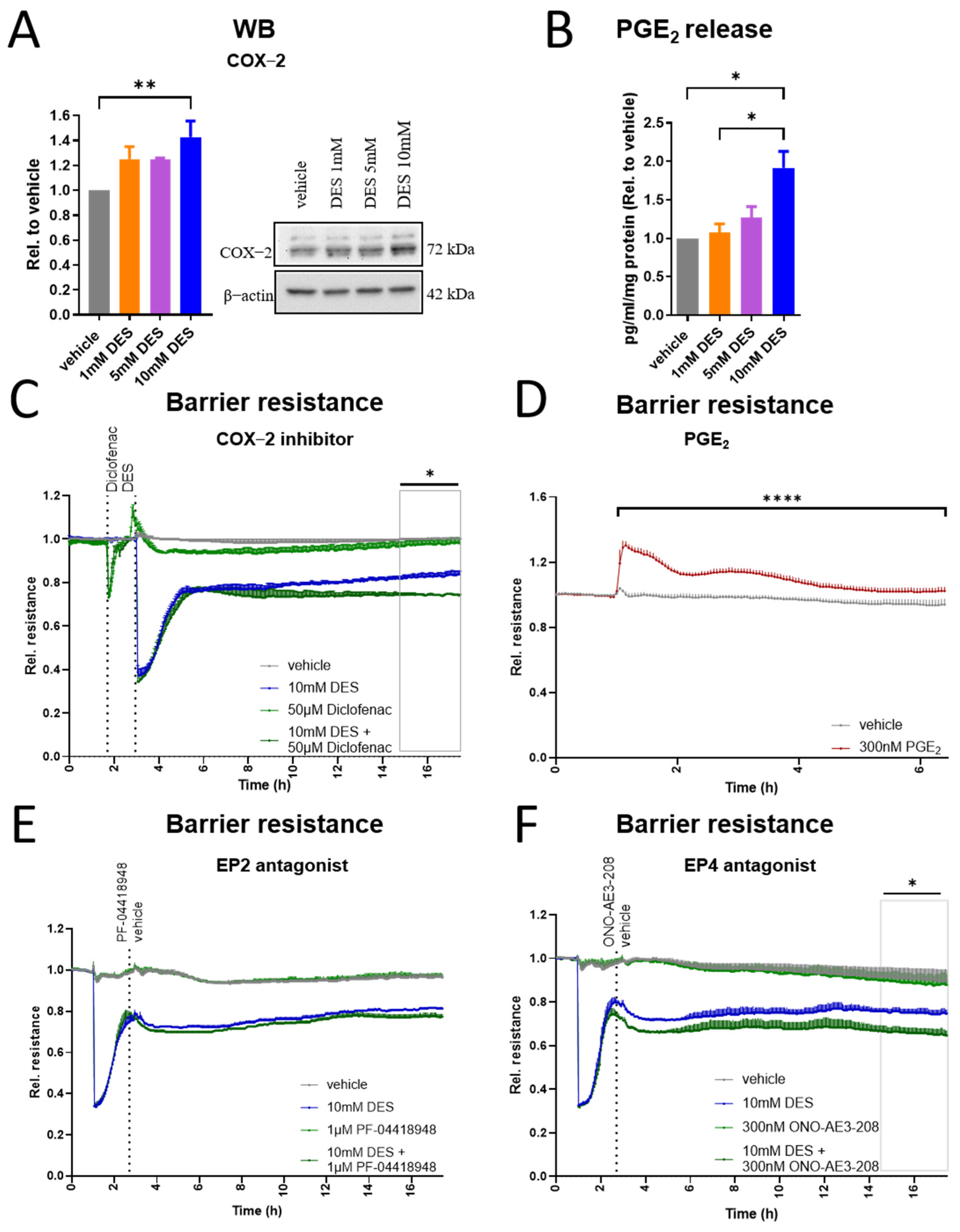 Antioxidants 13 01579 g005