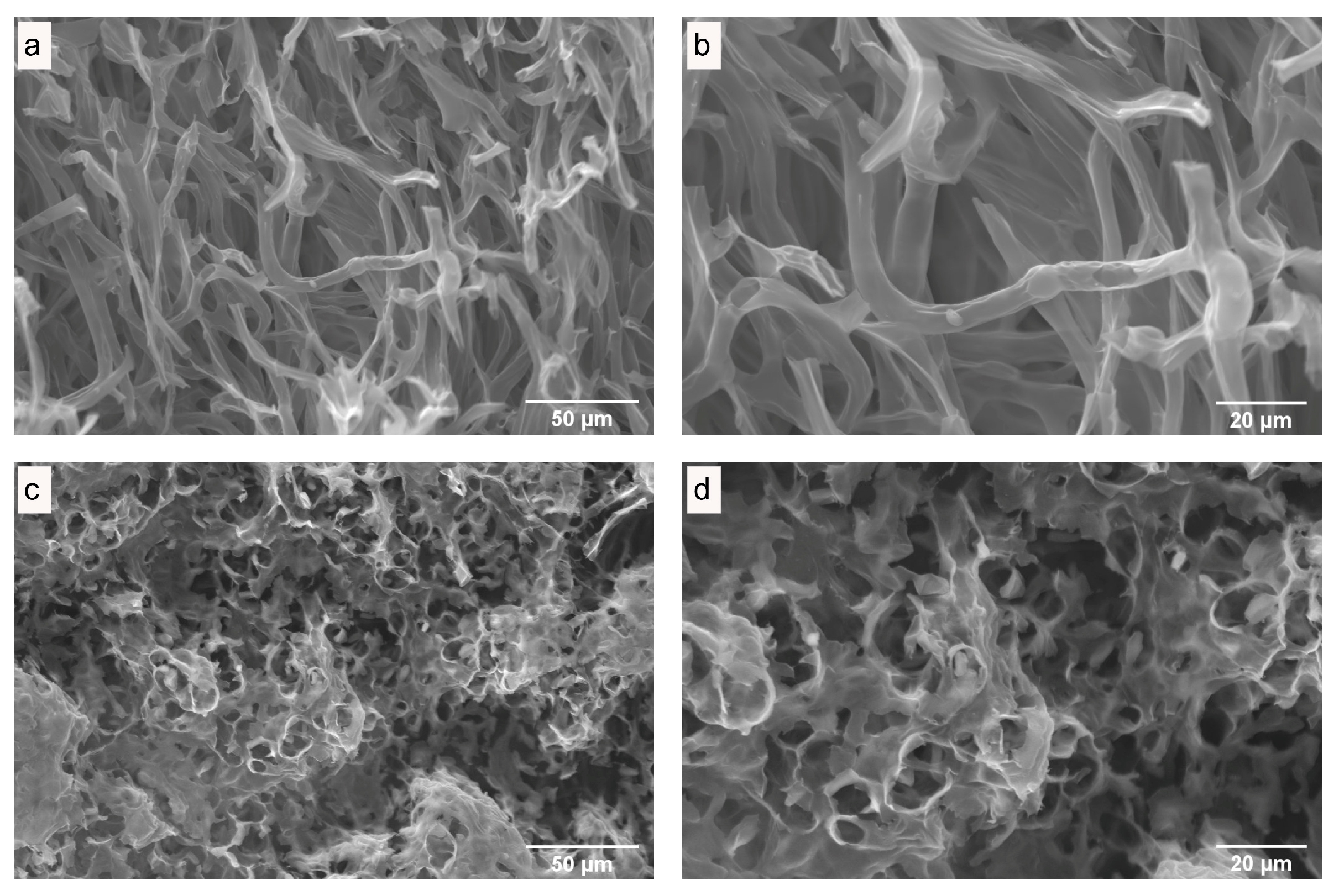 Antioxidants 13 01581 g003