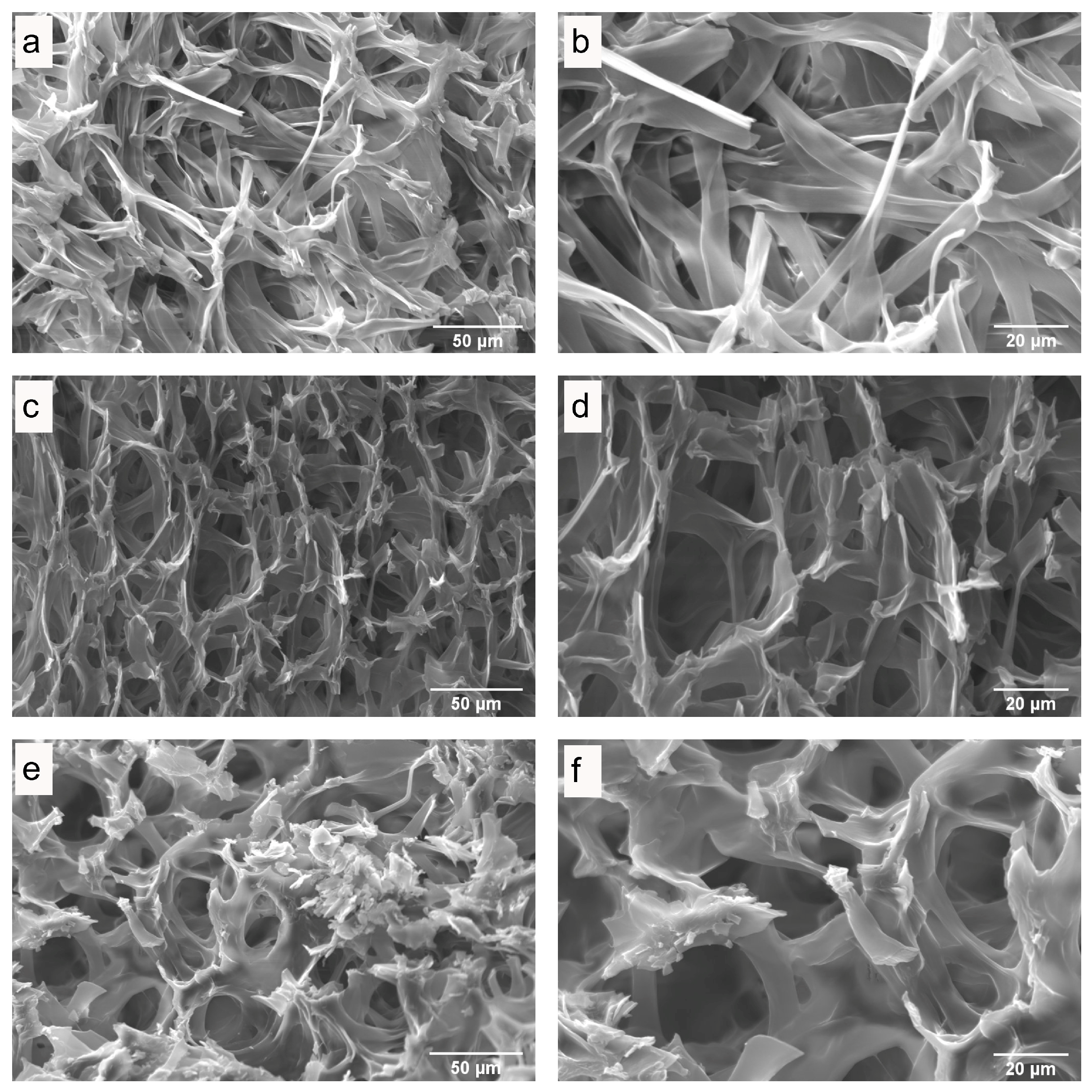 Antioxidants 13 01581 g004
