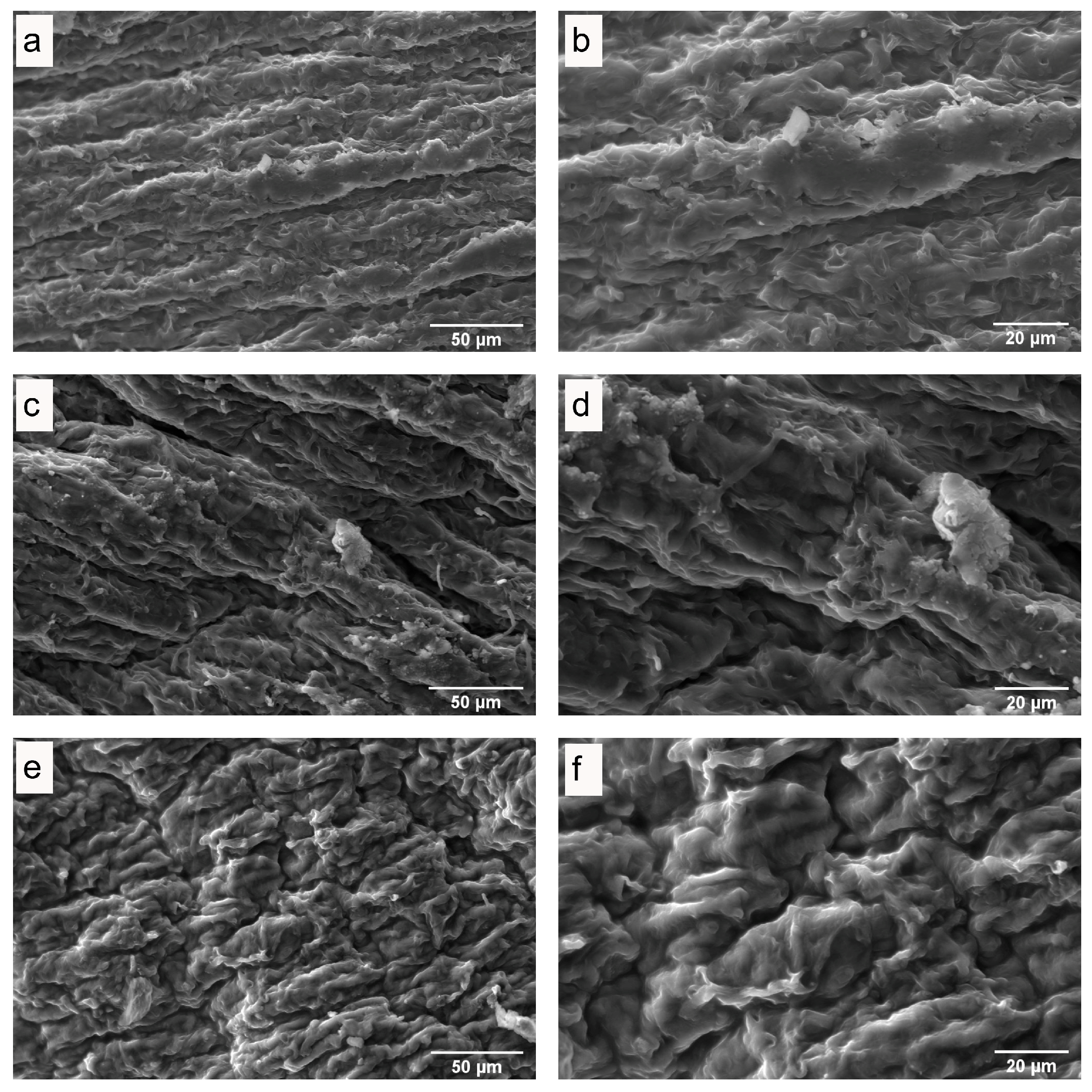 Antioxidants 13 01581 g007