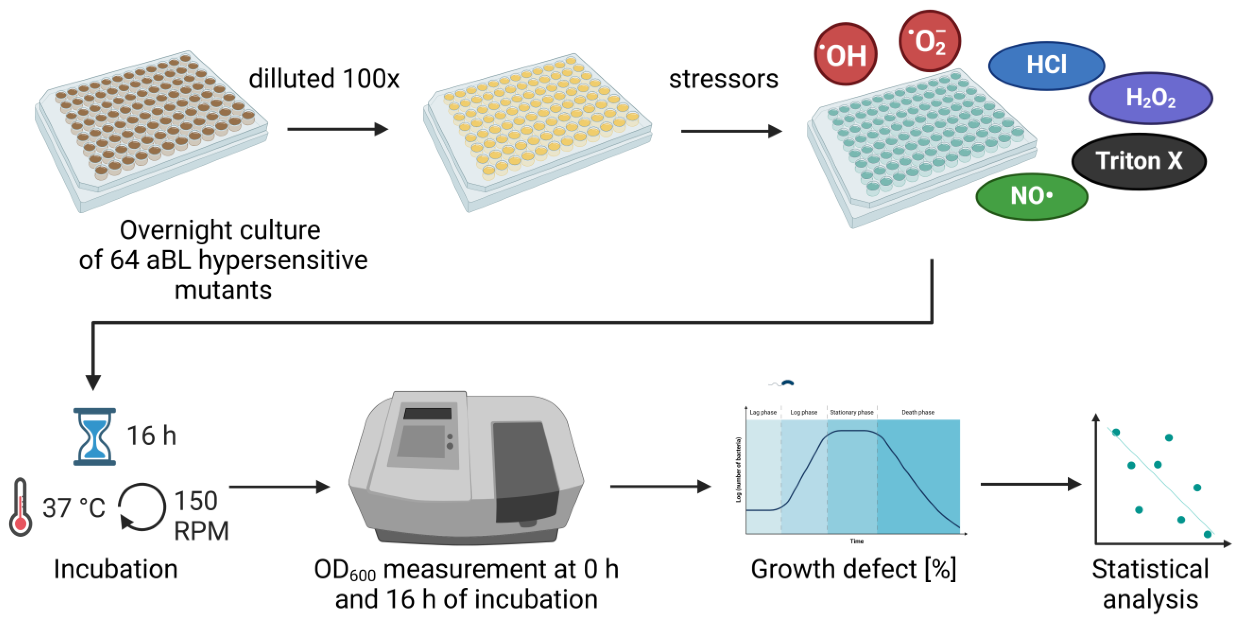Antioxidants 13 01583 g001