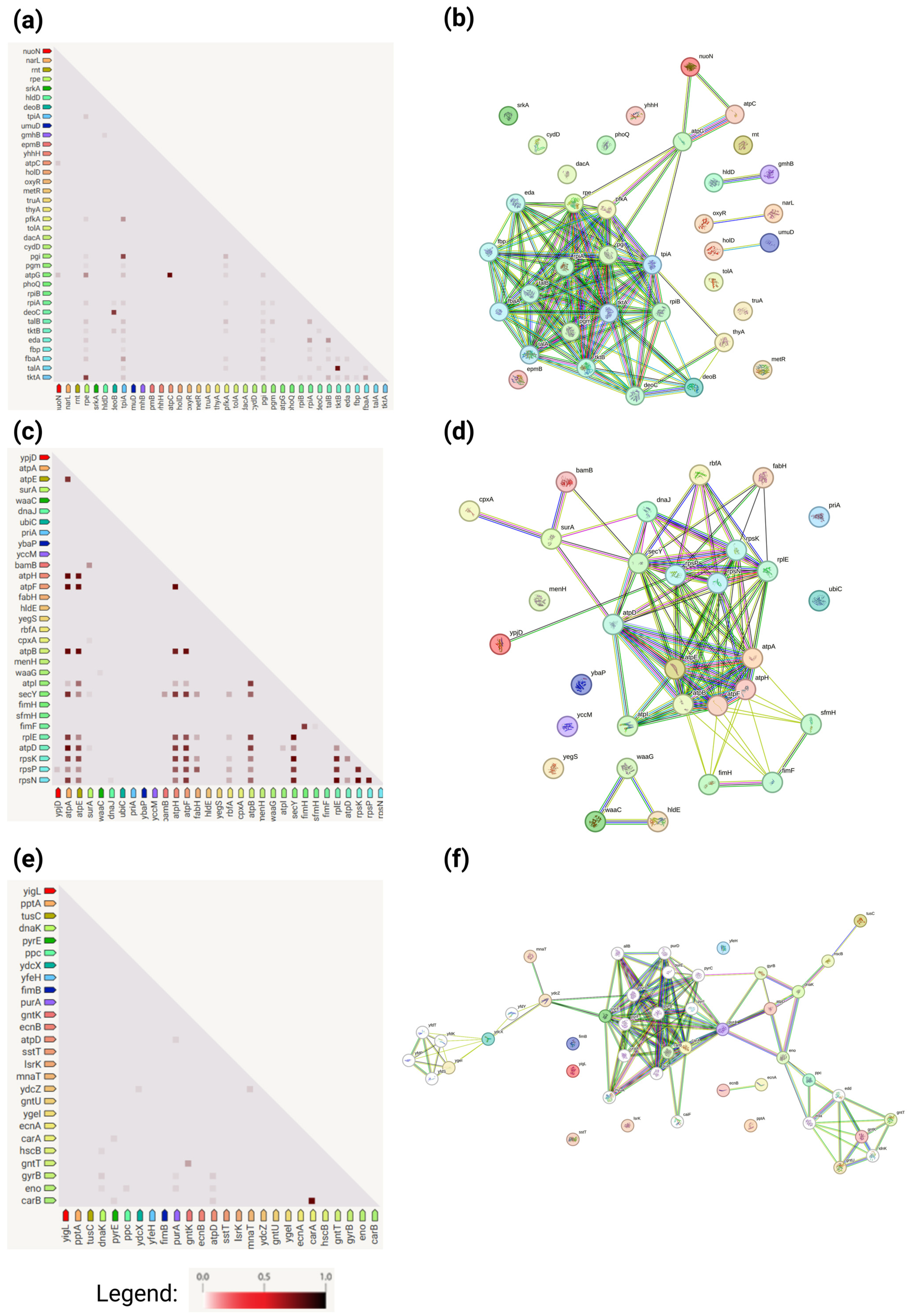 Antioxidants 13 01583 g010