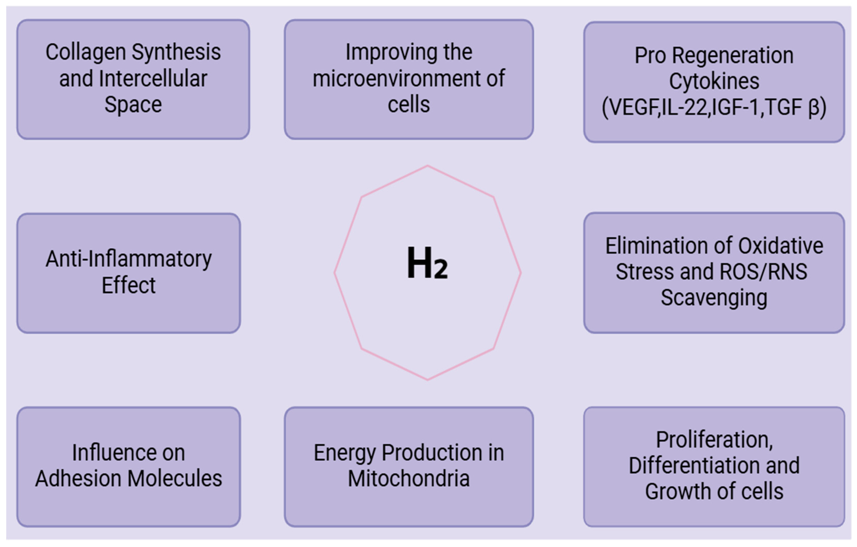 Antioxidants 13 01584 g003