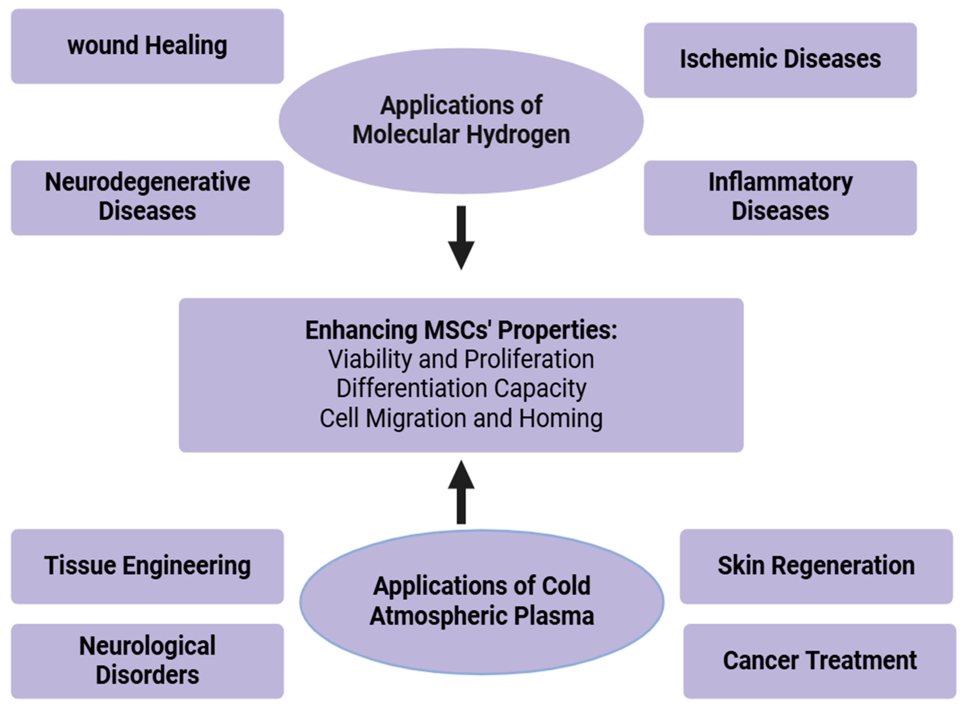 Antioxidants 13 01584 g004