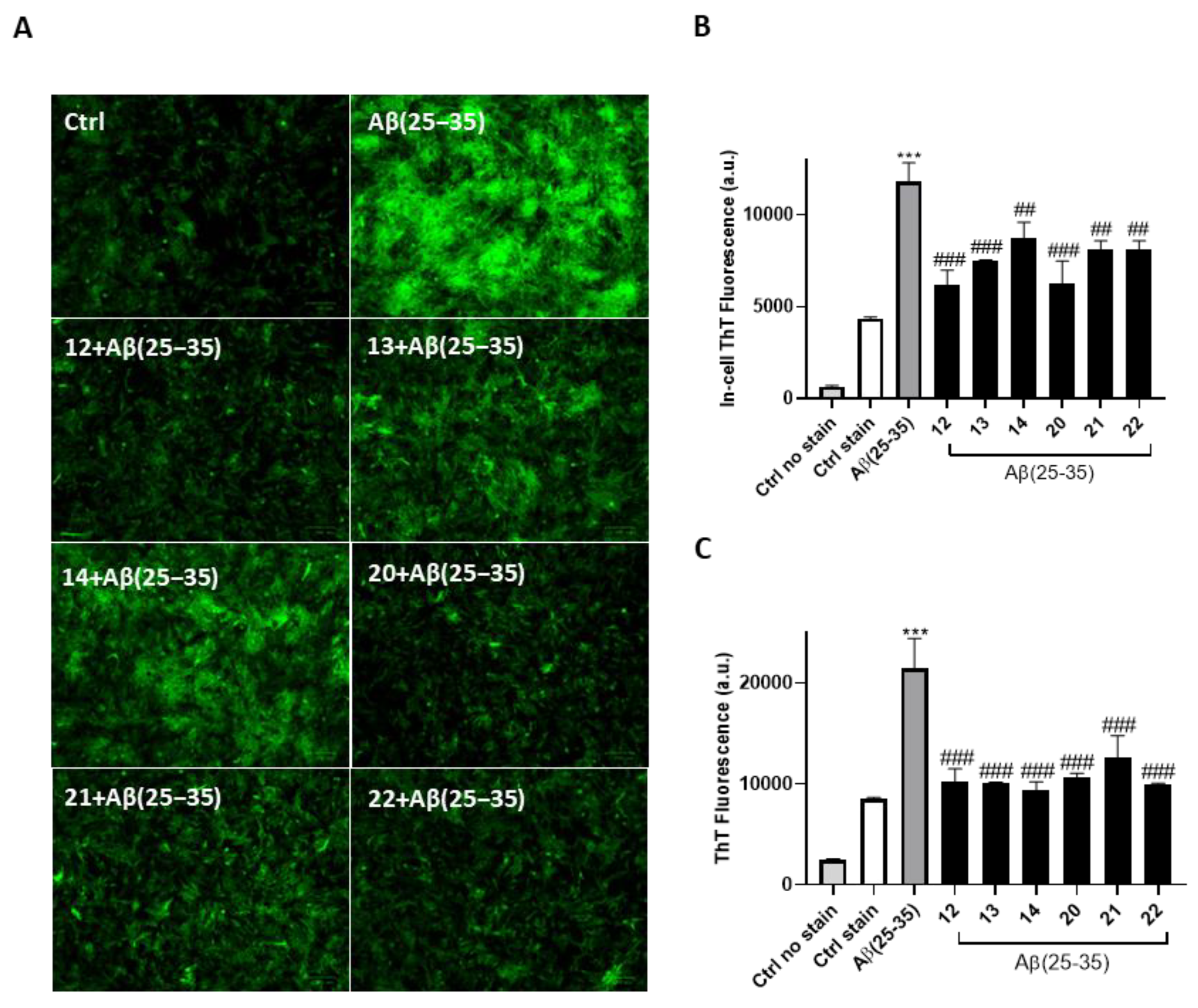 Antioxidants 13 01585 g004