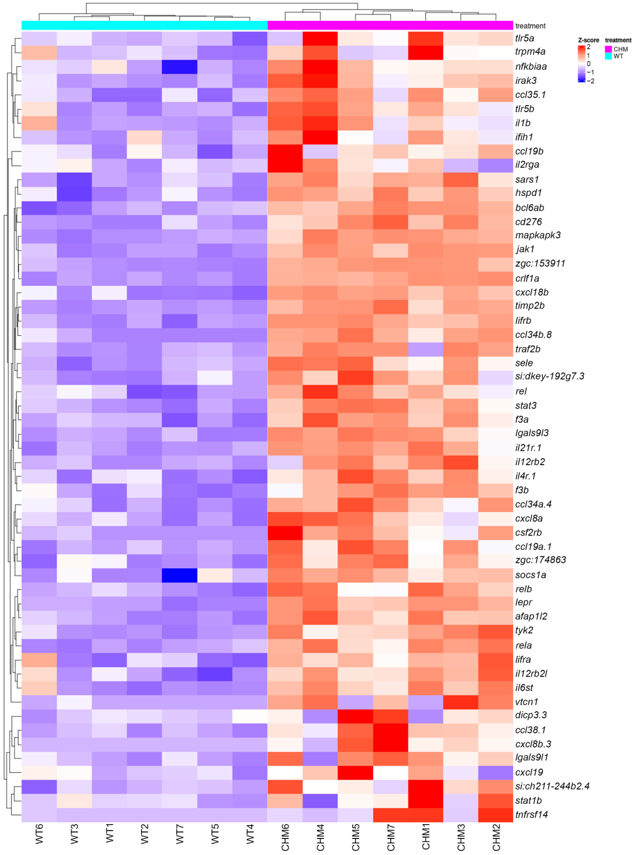Antioxidants 13 01587 g001