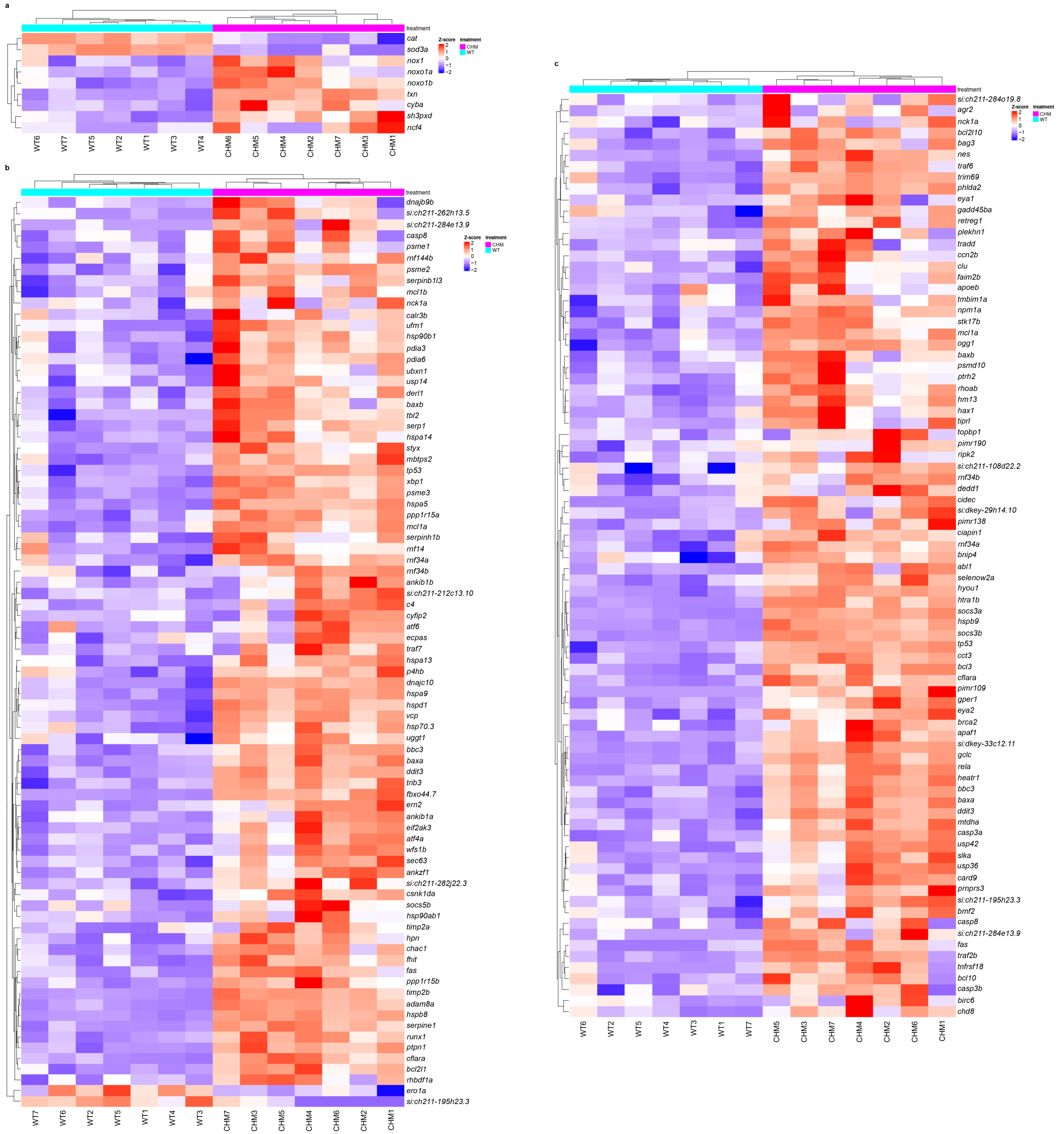 Antioxidants 13 01587 g002