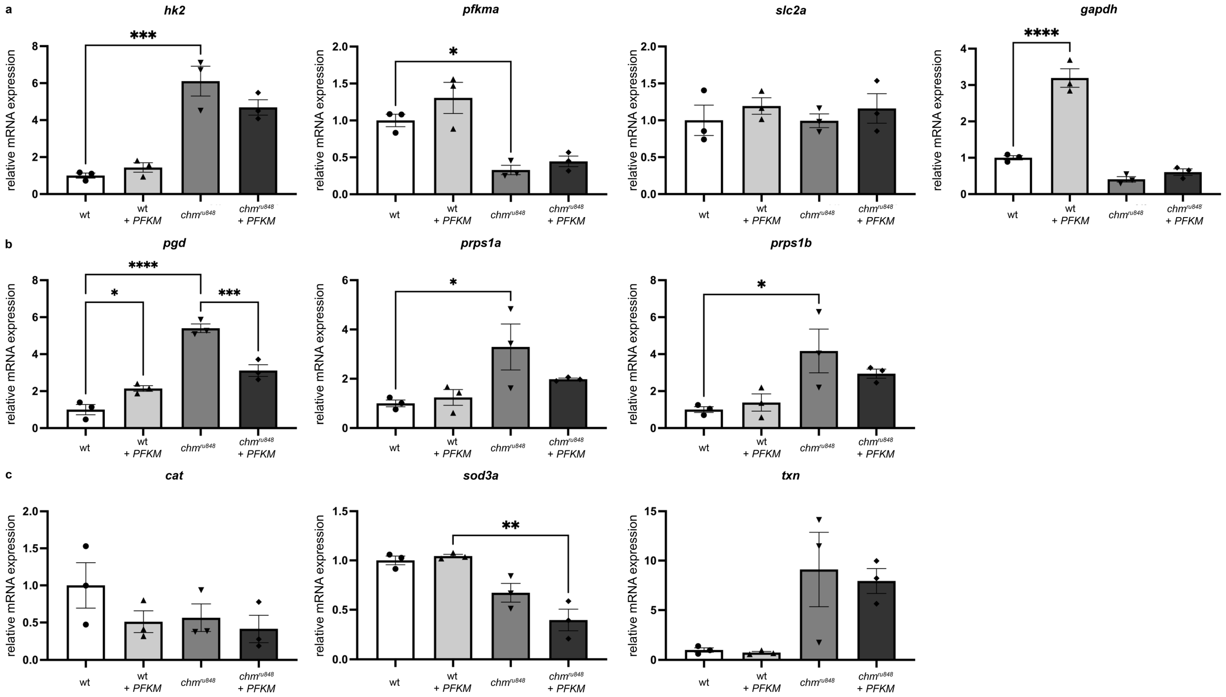 Antioxidants 13 01587 g006