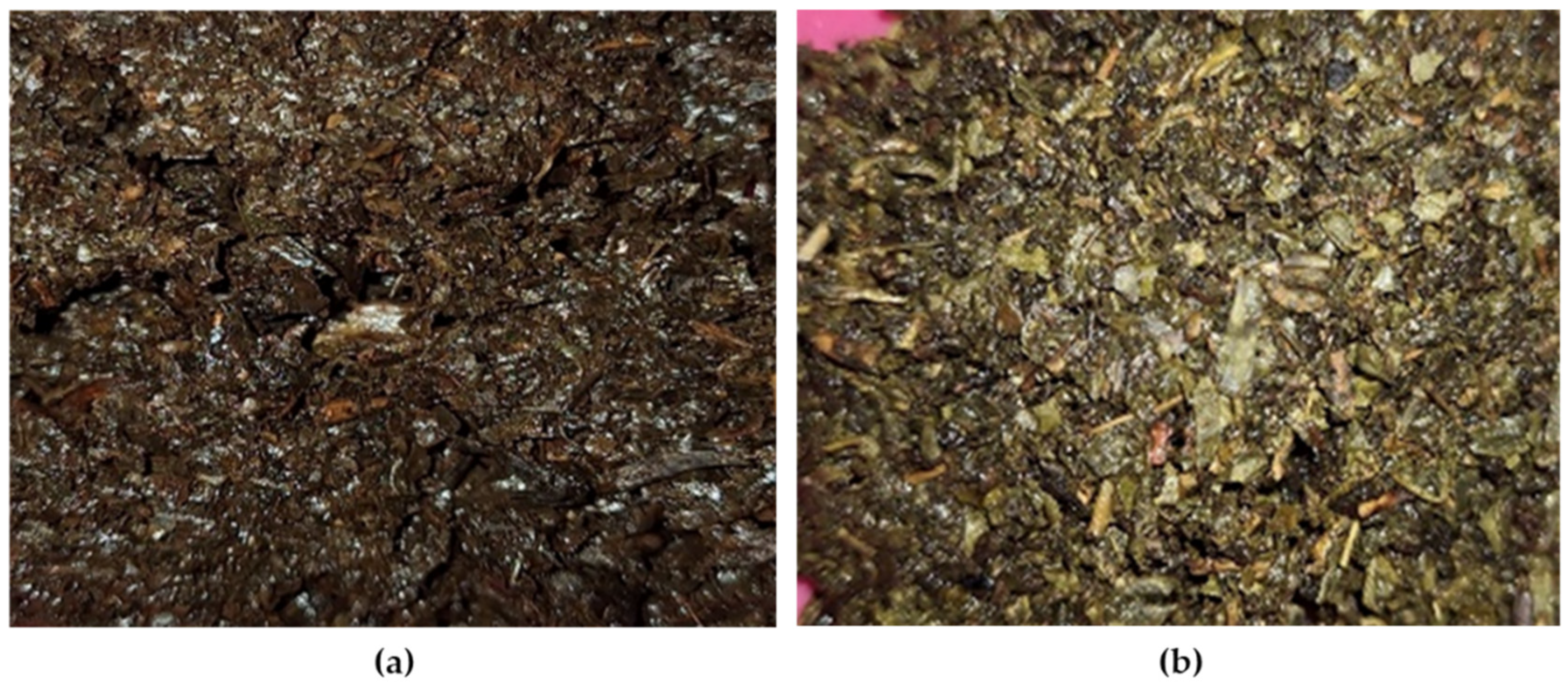 Antioxidants 13 01588 g001