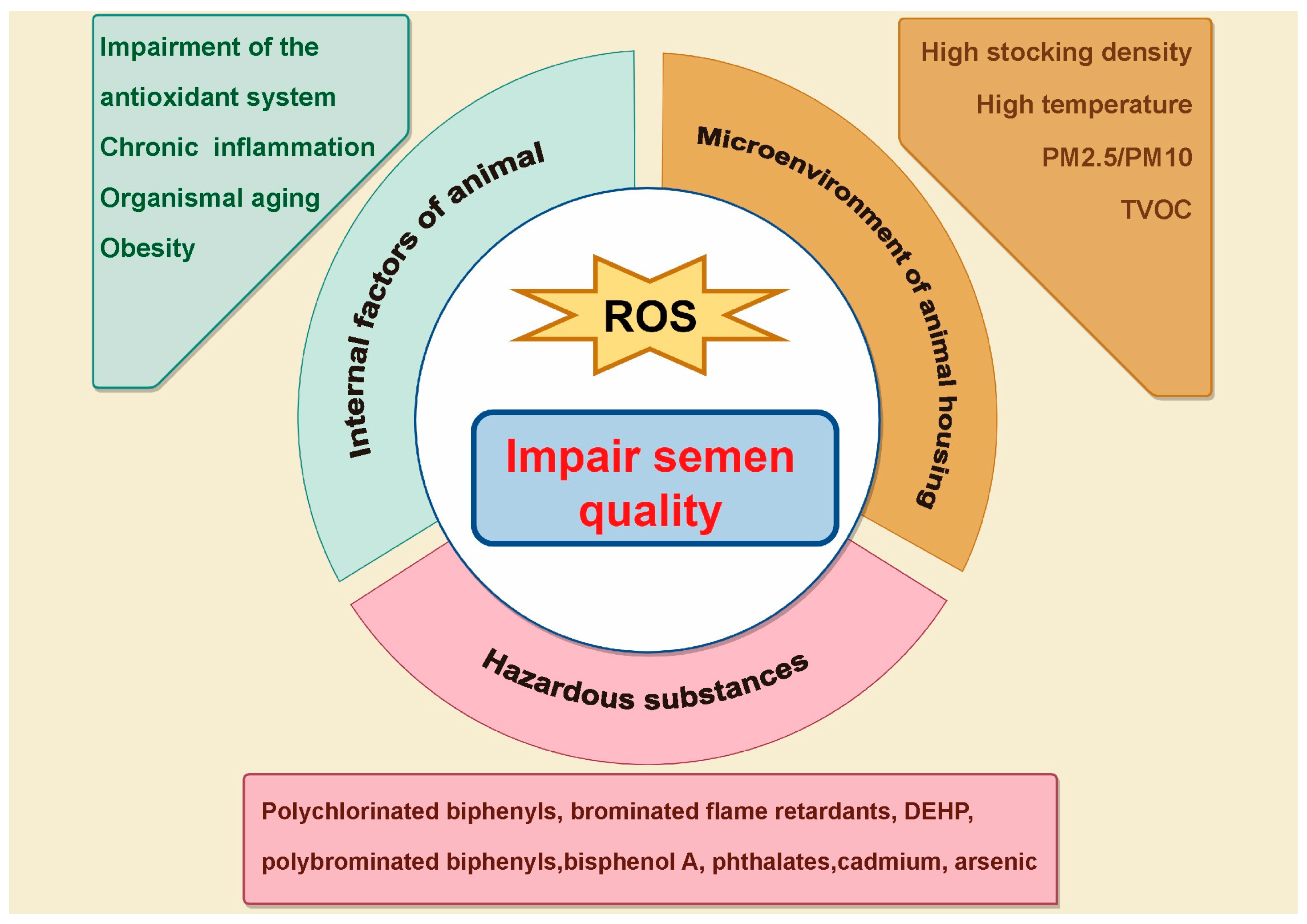 Antioxidants 14 00002 g001